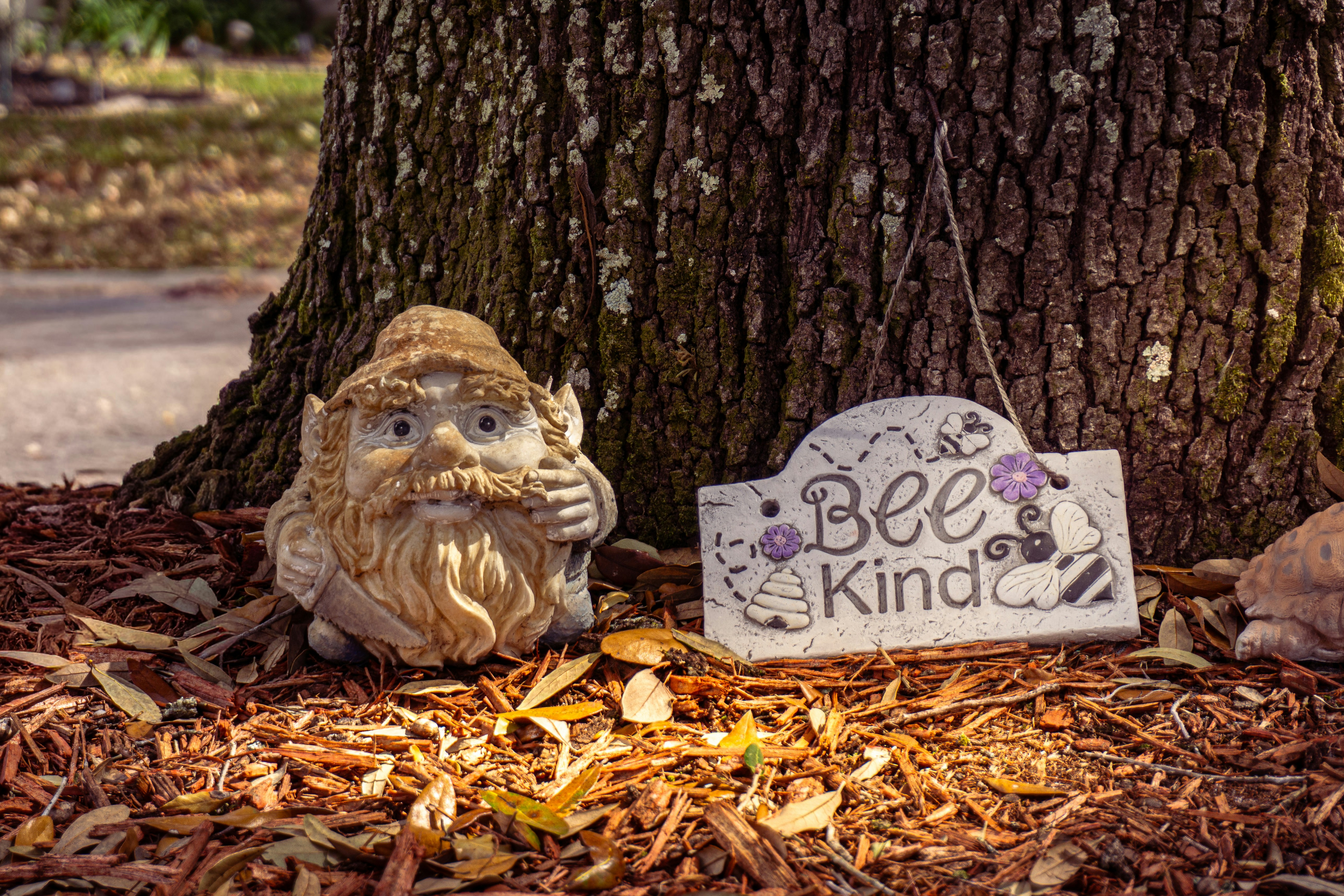 Garden gnome and "bee kind" sign by tree