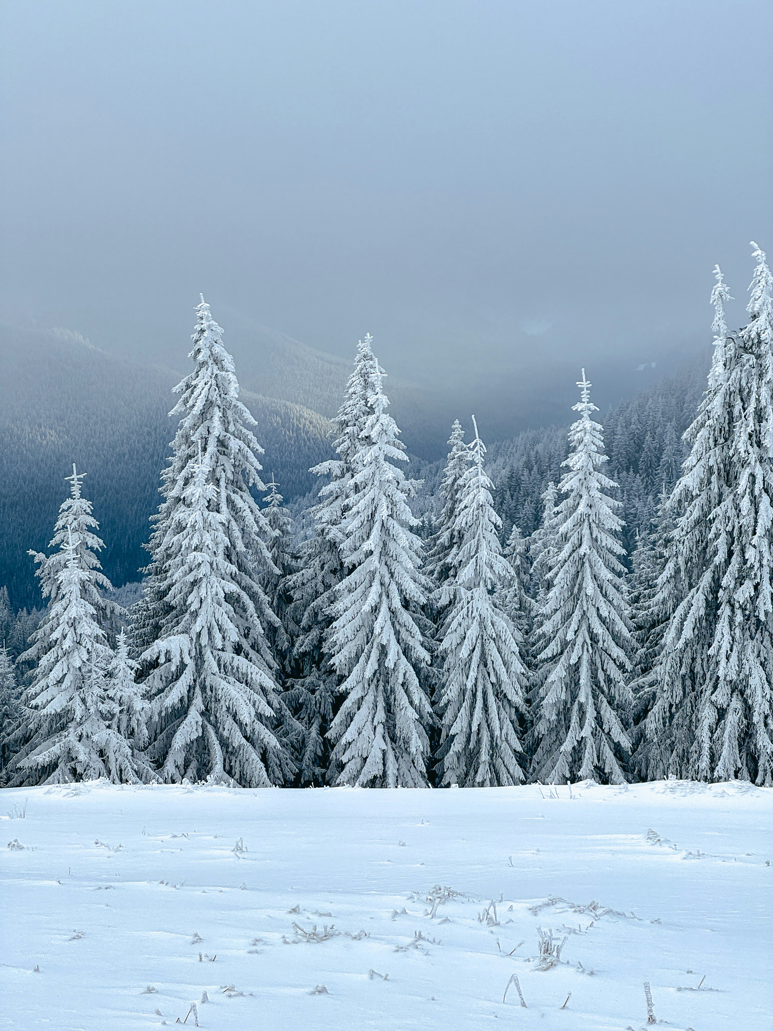 Photo by denisaficau