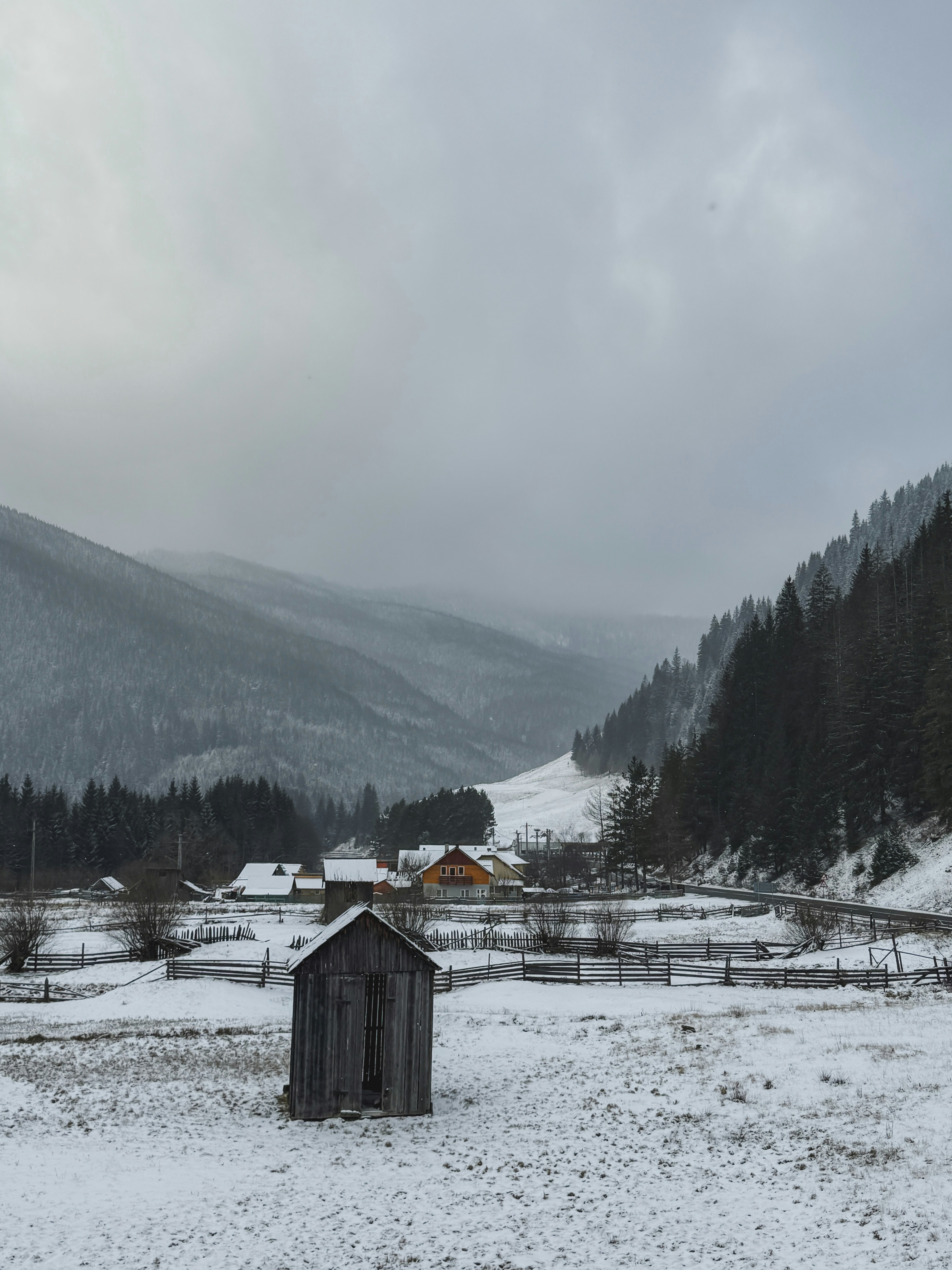 Photo by denisaficau