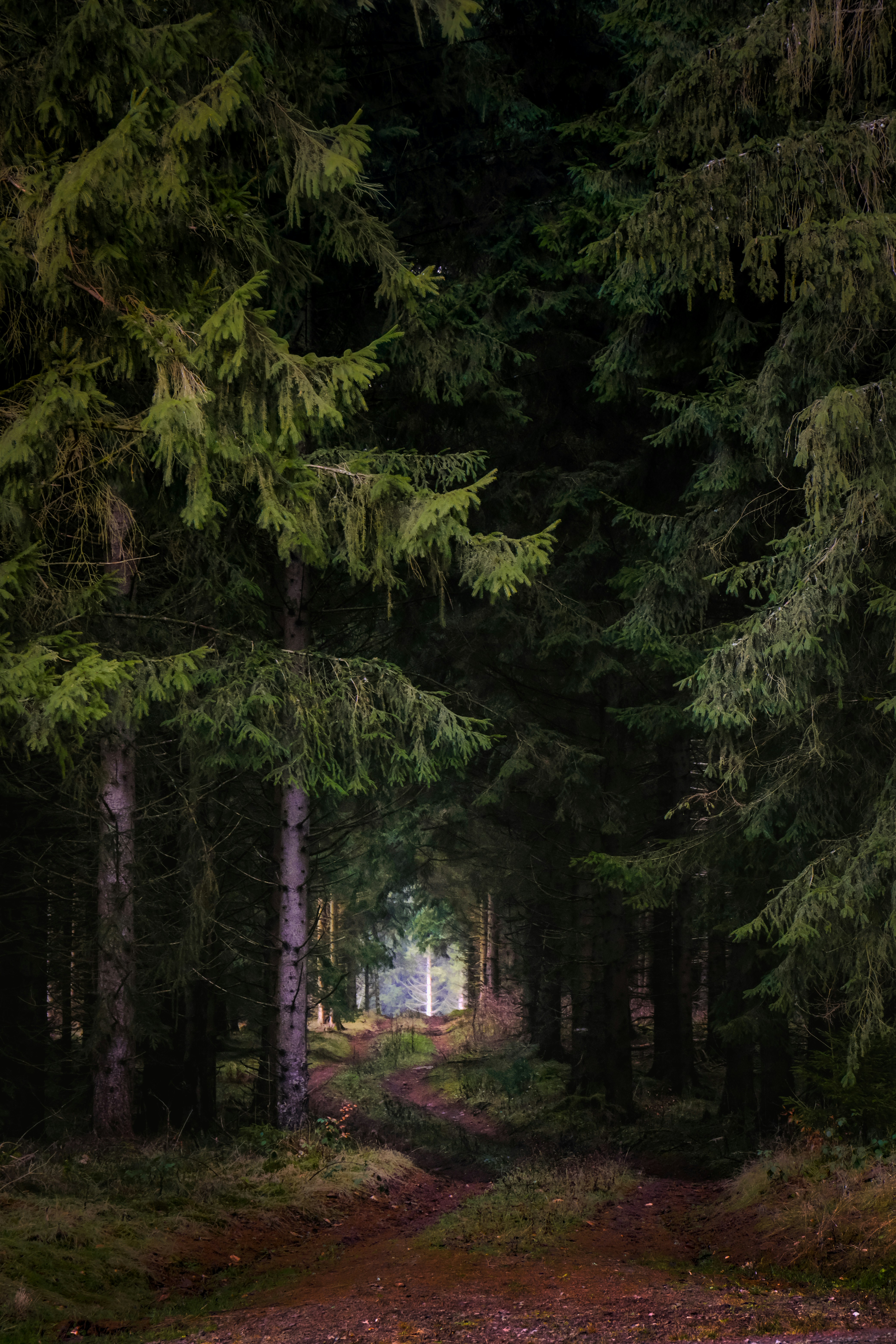 Photo by denisaficau