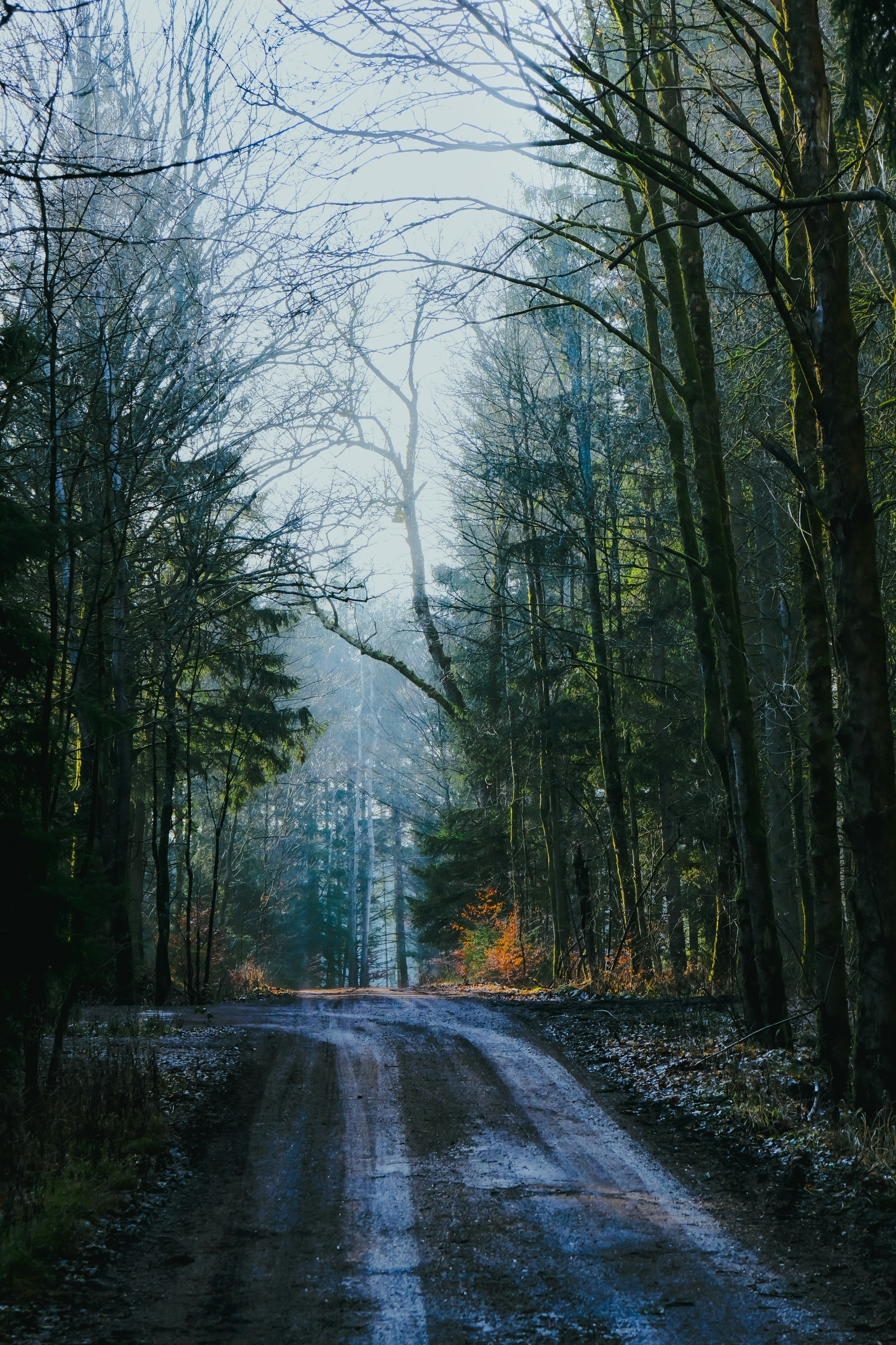 Photo by denisaficau