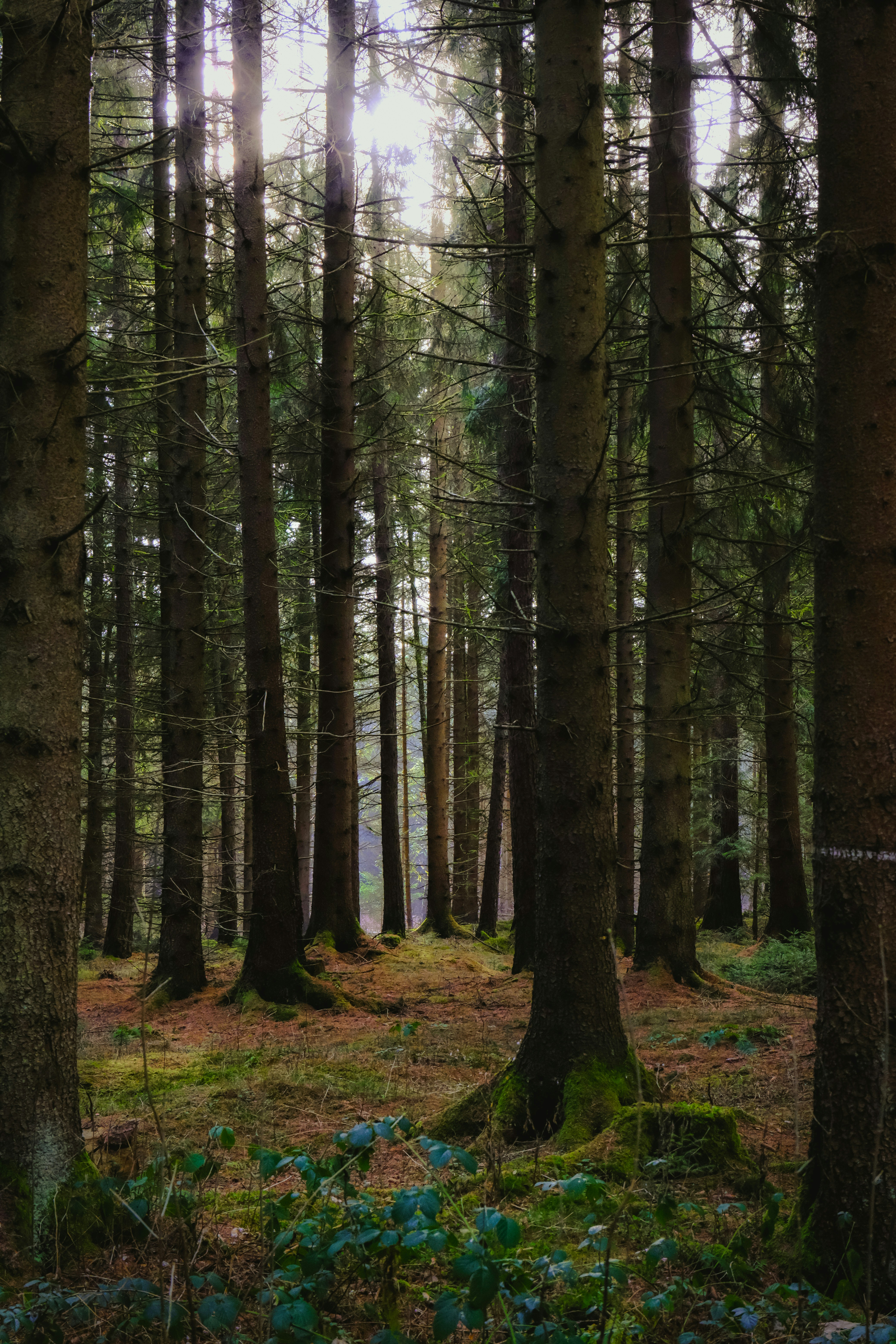 Photo by denisaficau