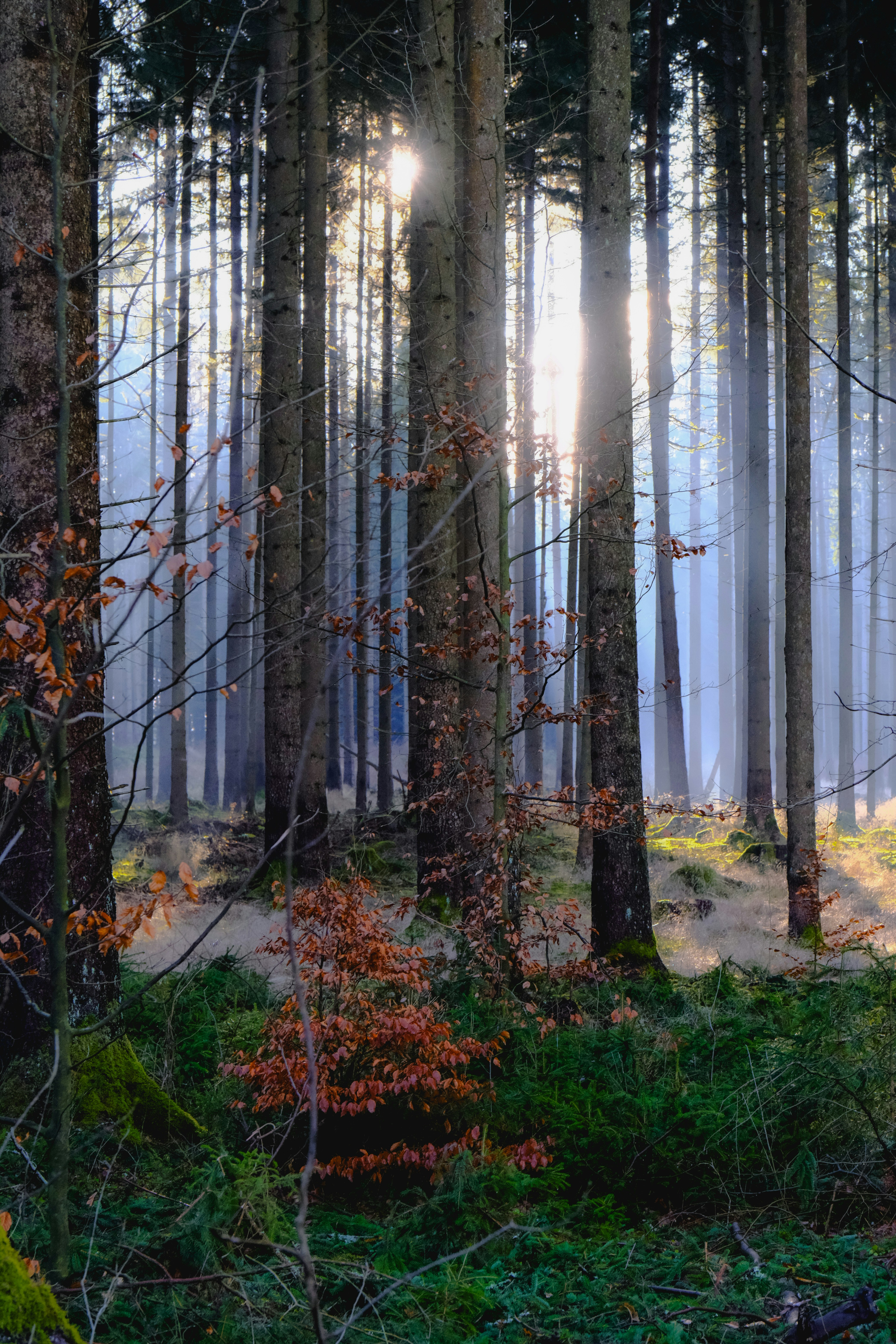 Photo by denisaficau