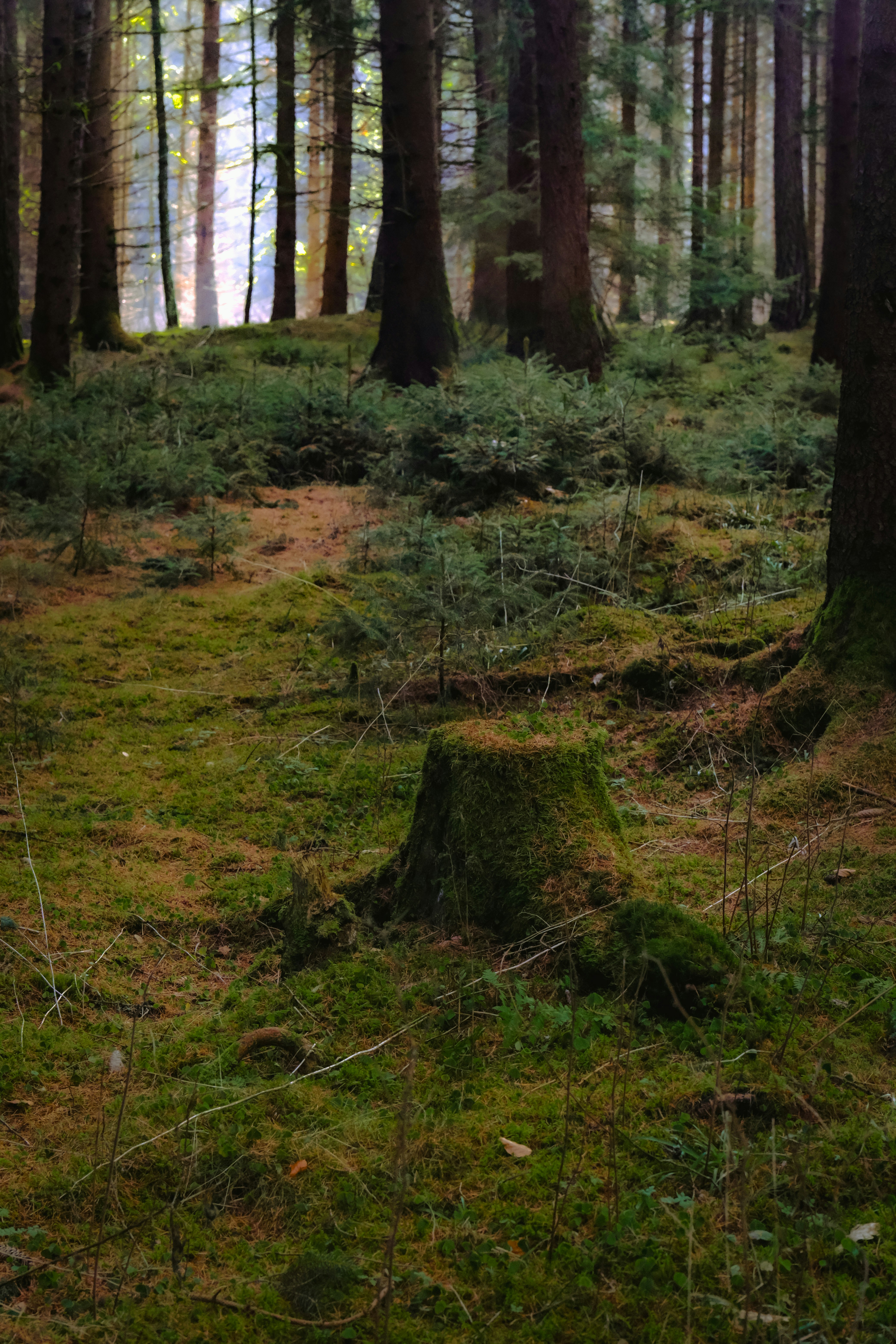 Photo by denisaficau