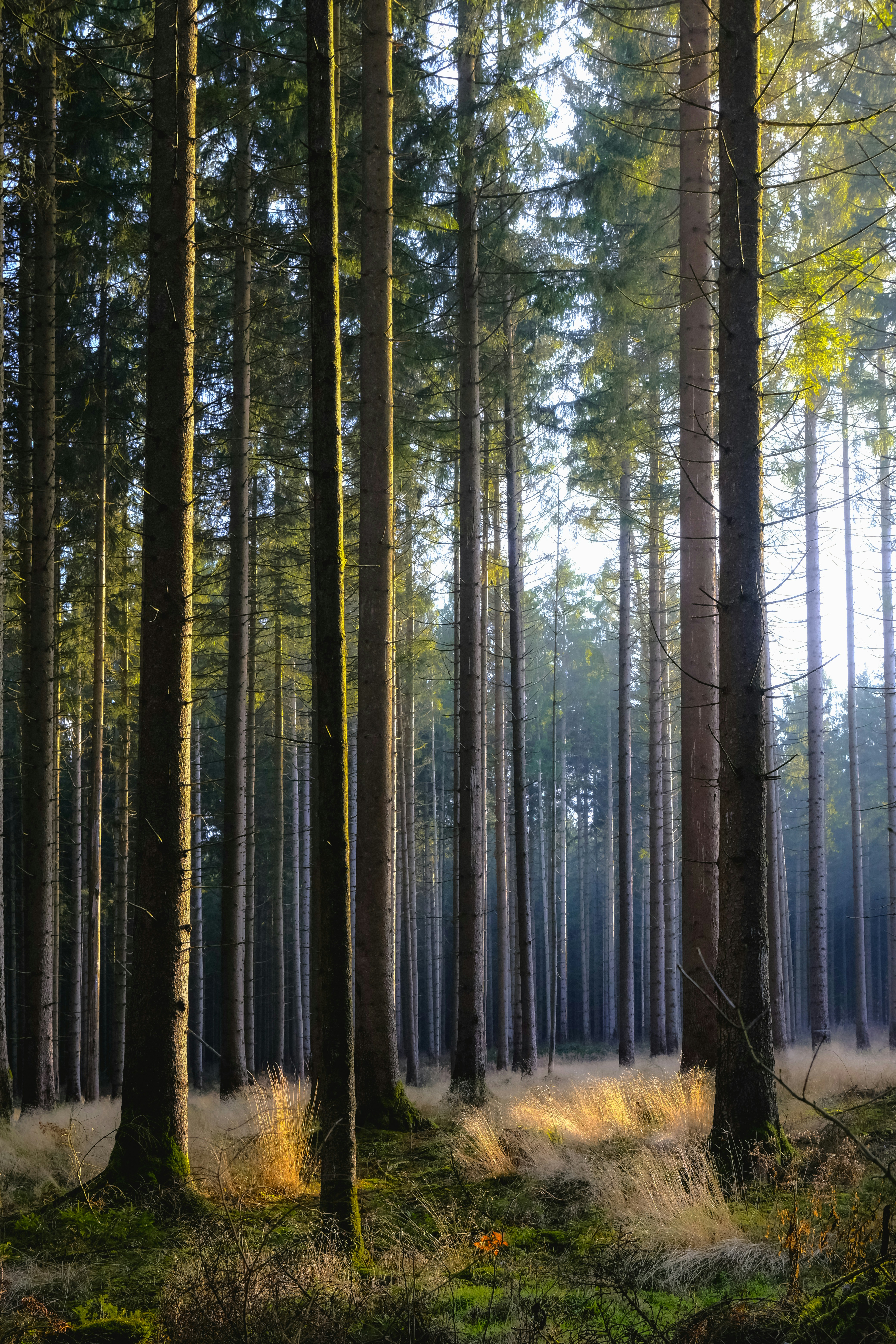 Photo by denisaficau