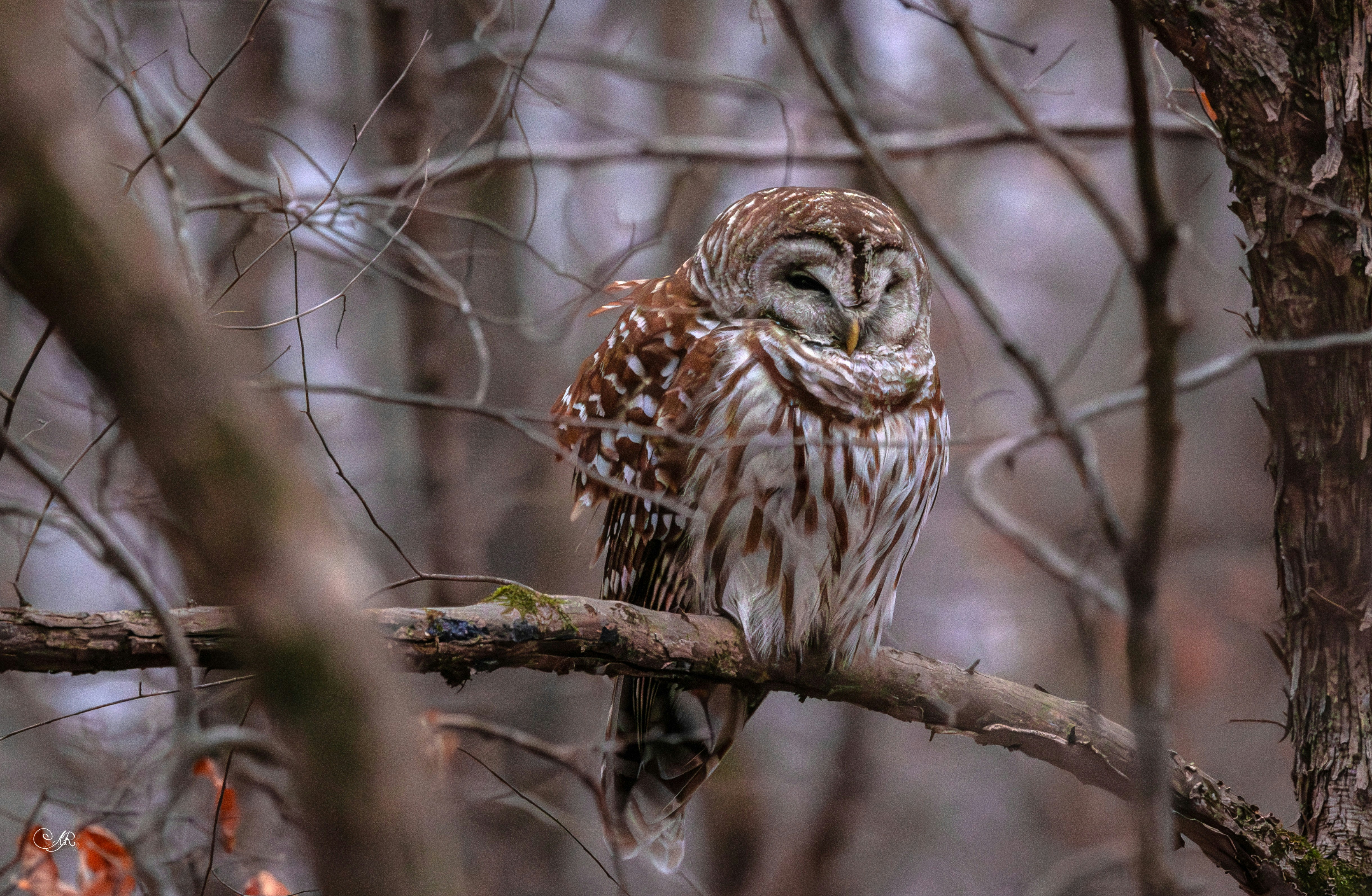 Photo by grimnir35mm