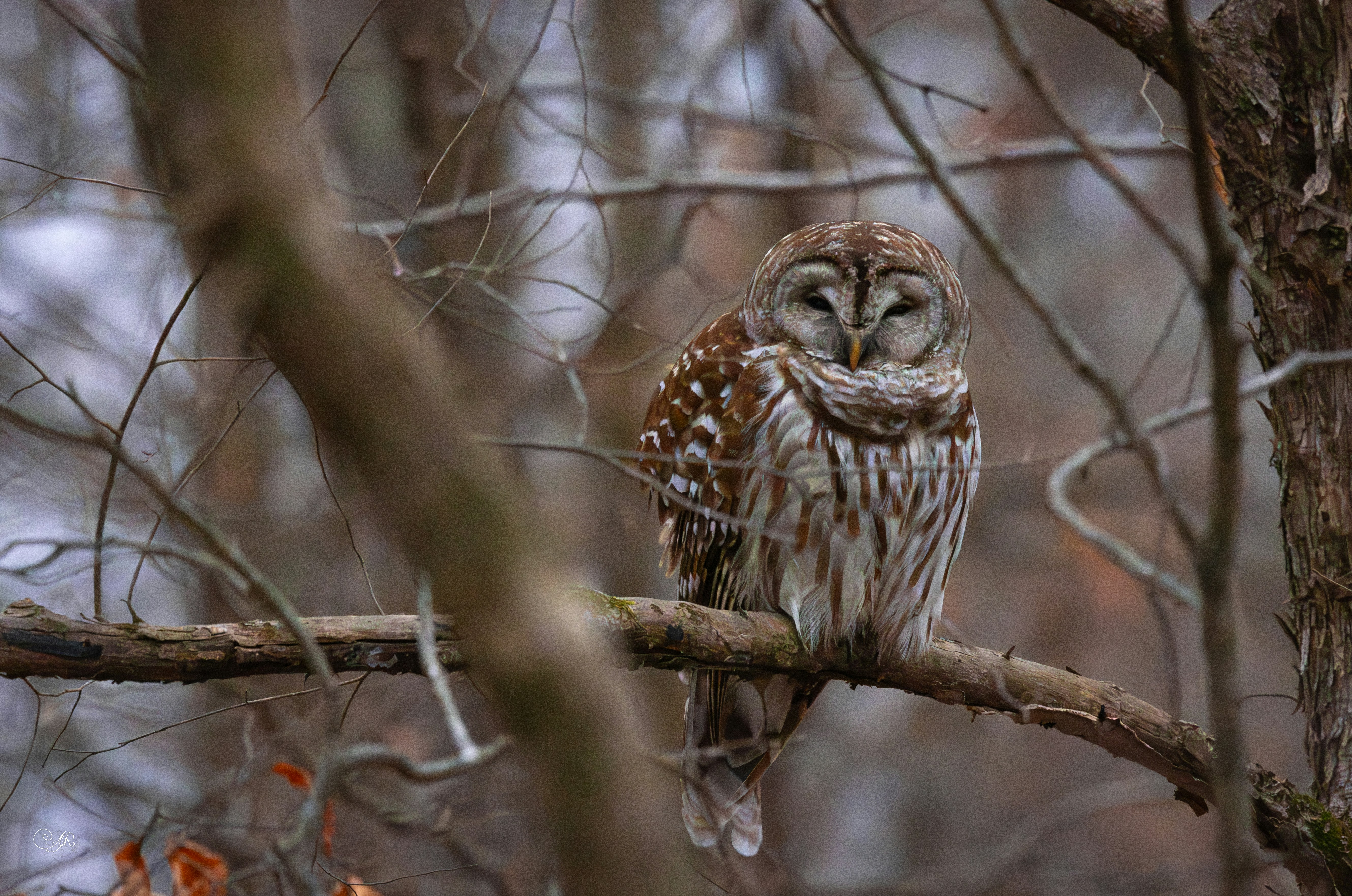 Photo by grimnir35mm