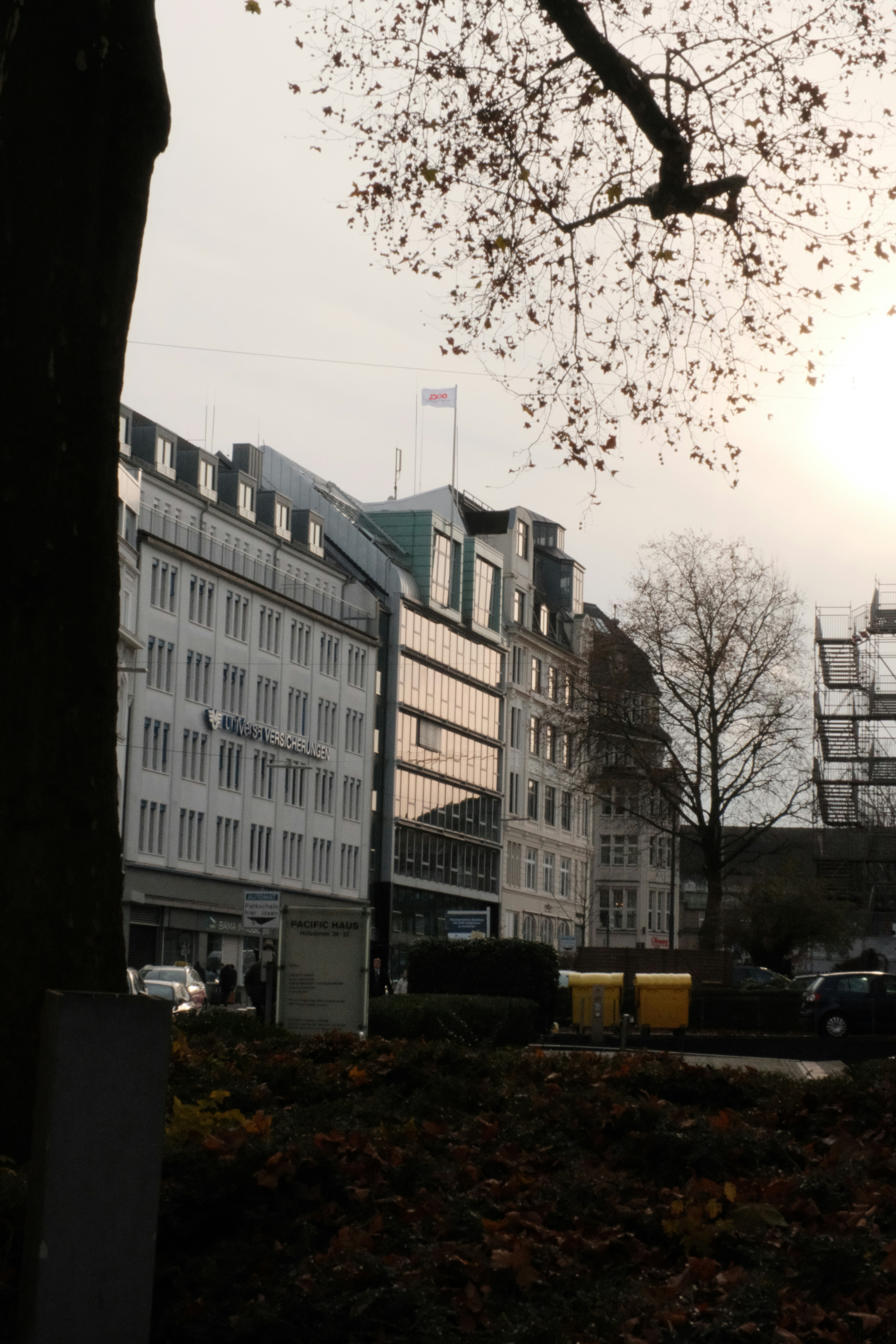 Buildings line a street with bare trees.