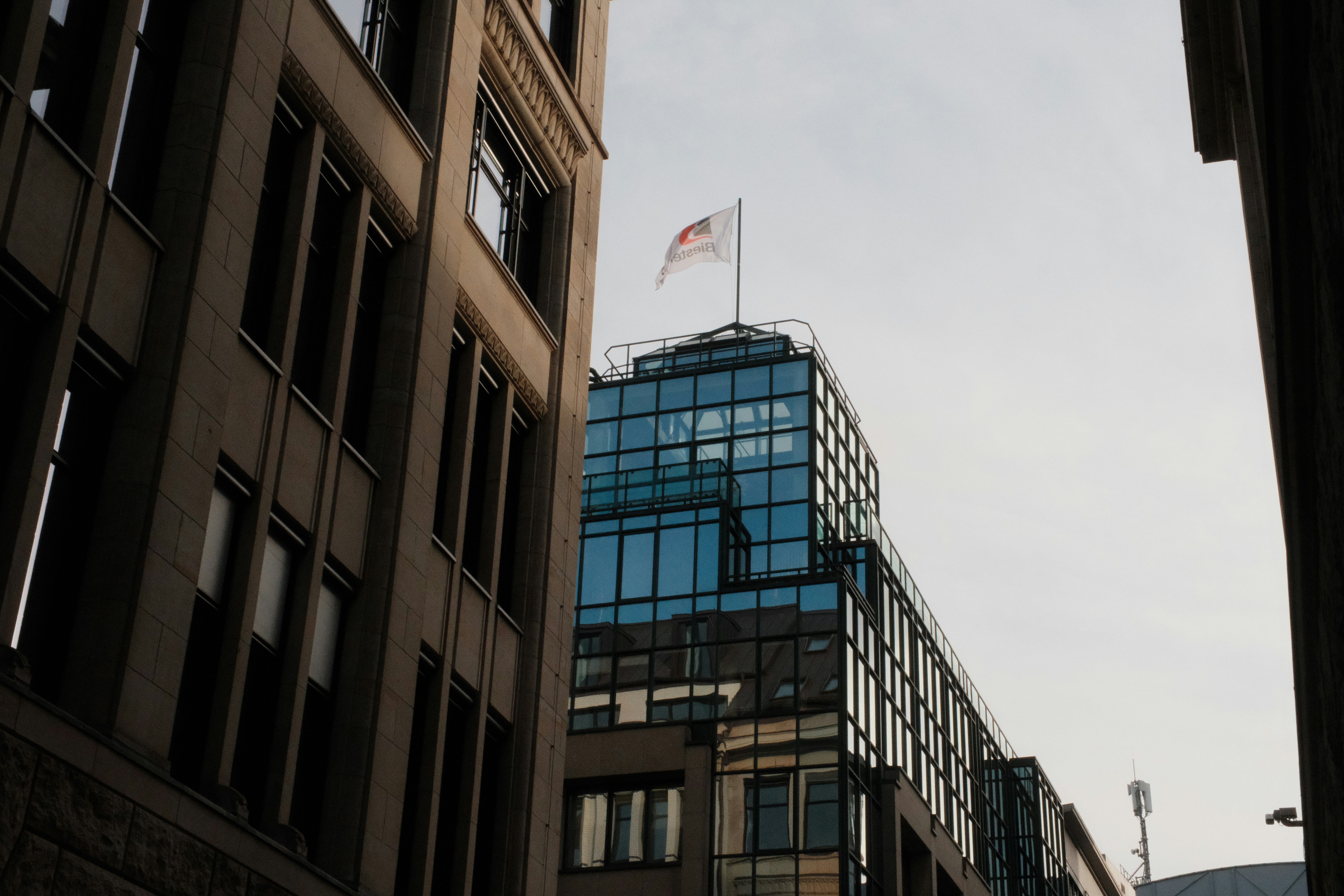 AI Literacy Vs Coding Skills