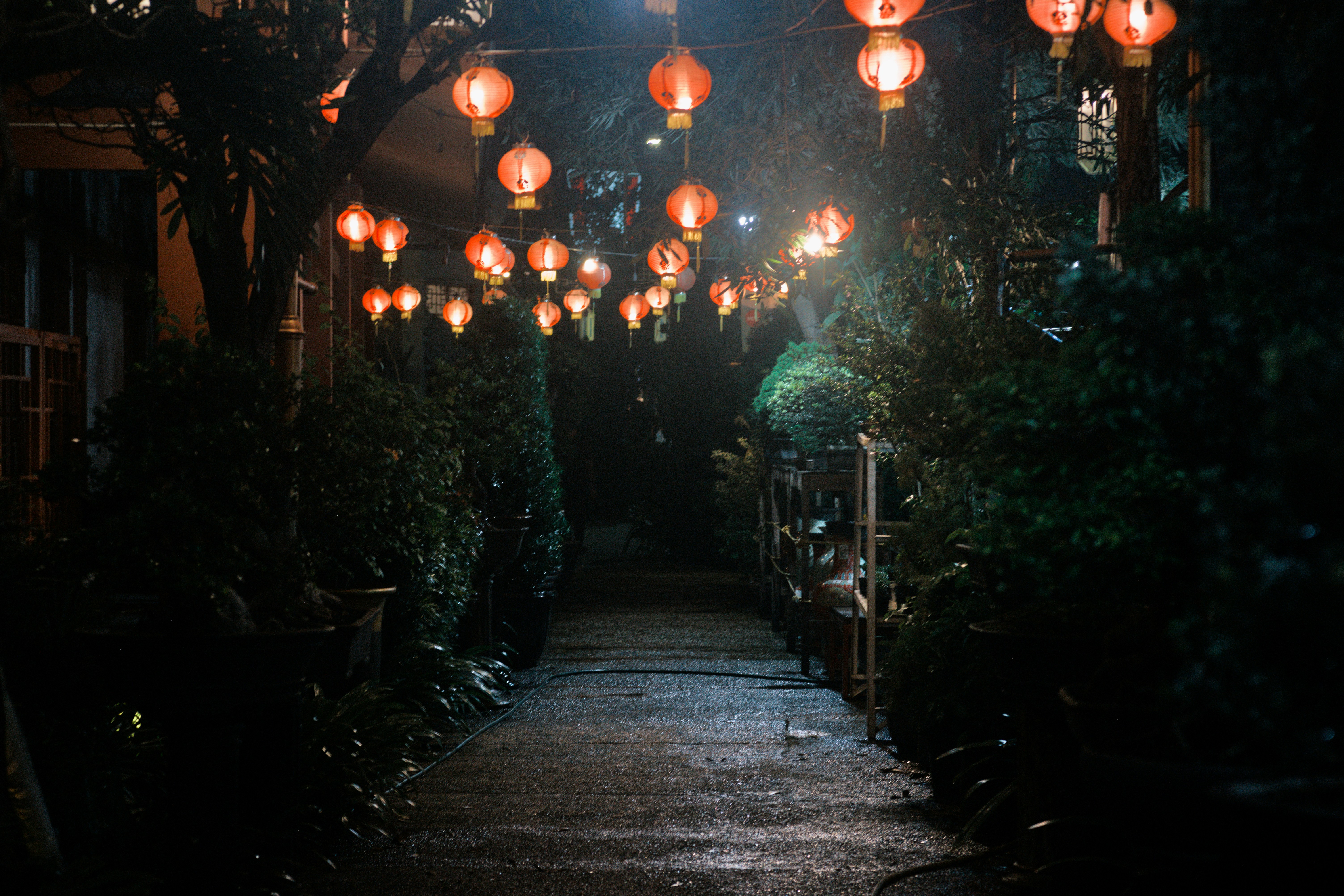 Red lanterns illuminate a dark pathway at night.