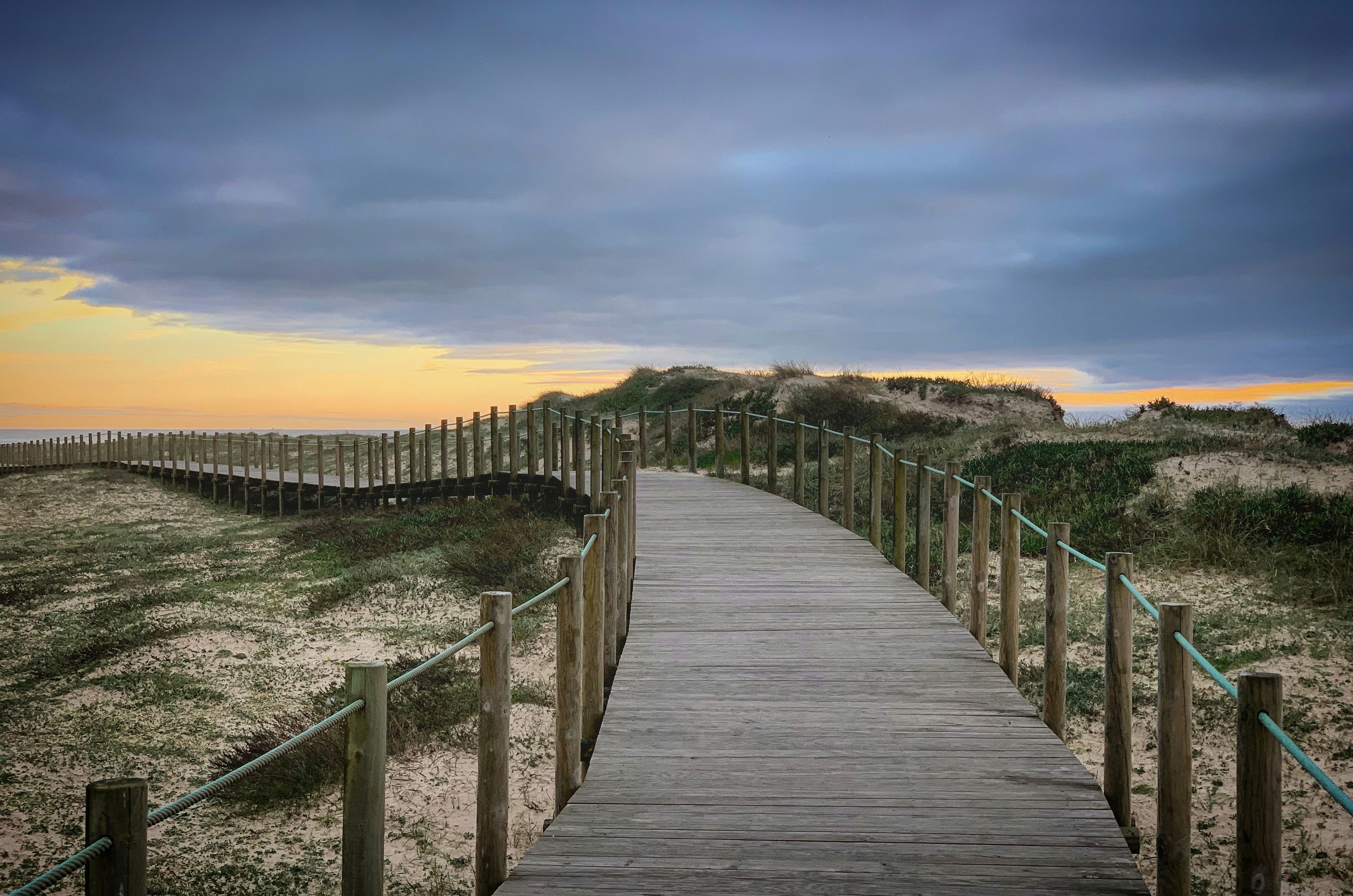 Photo by sergei_gussev