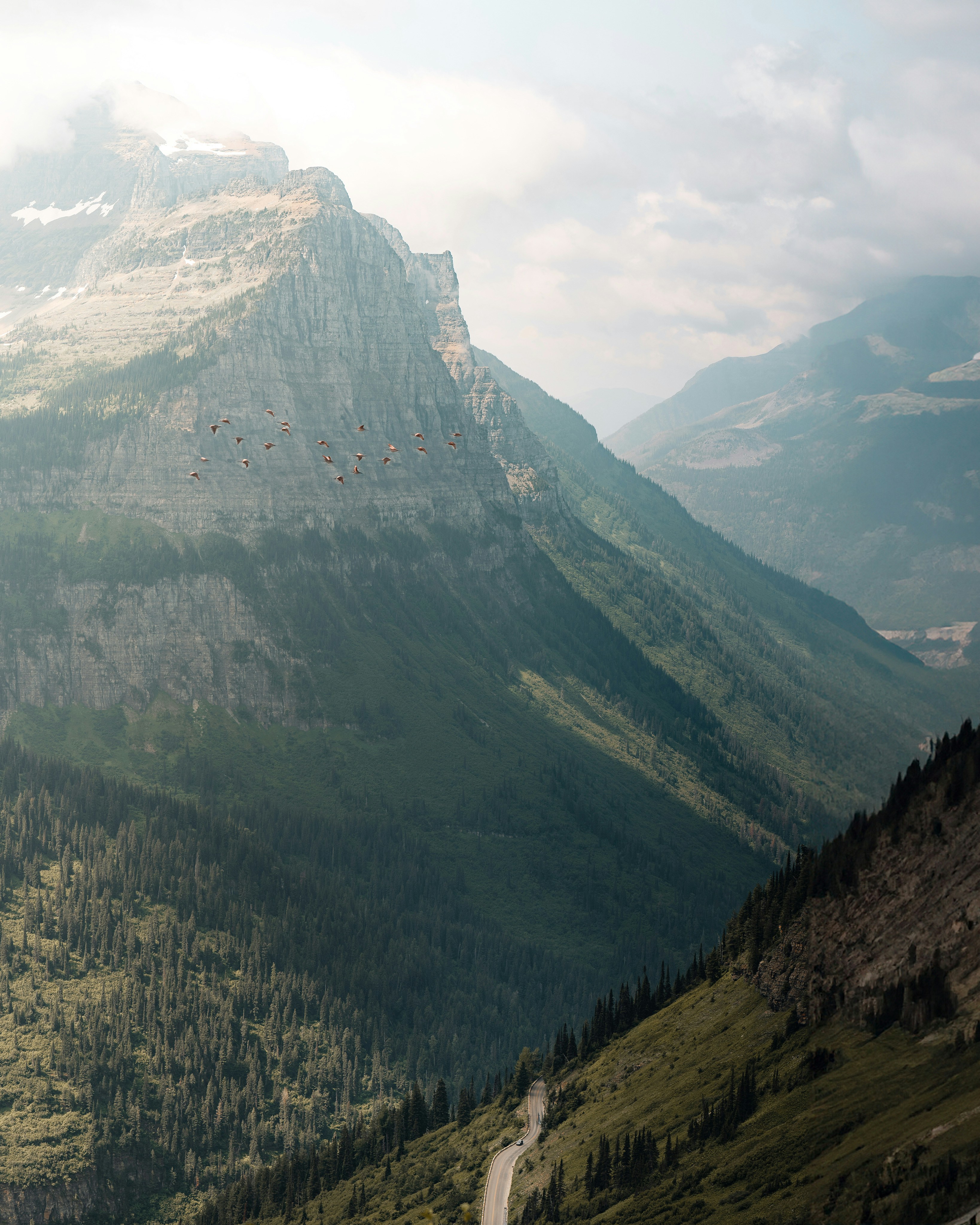 Photo by mkparekh_jpeg