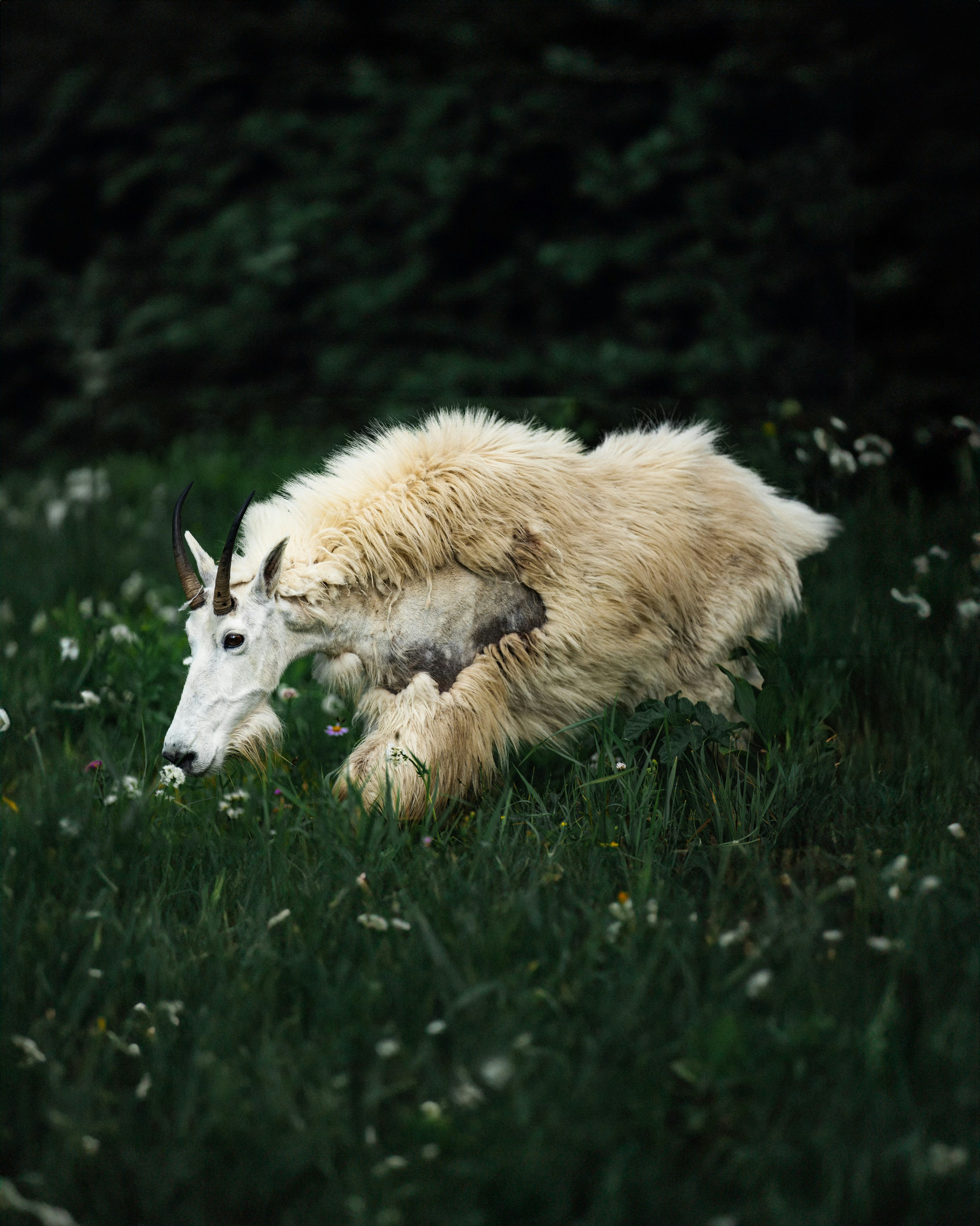 Photo by mkparekh_jpeg