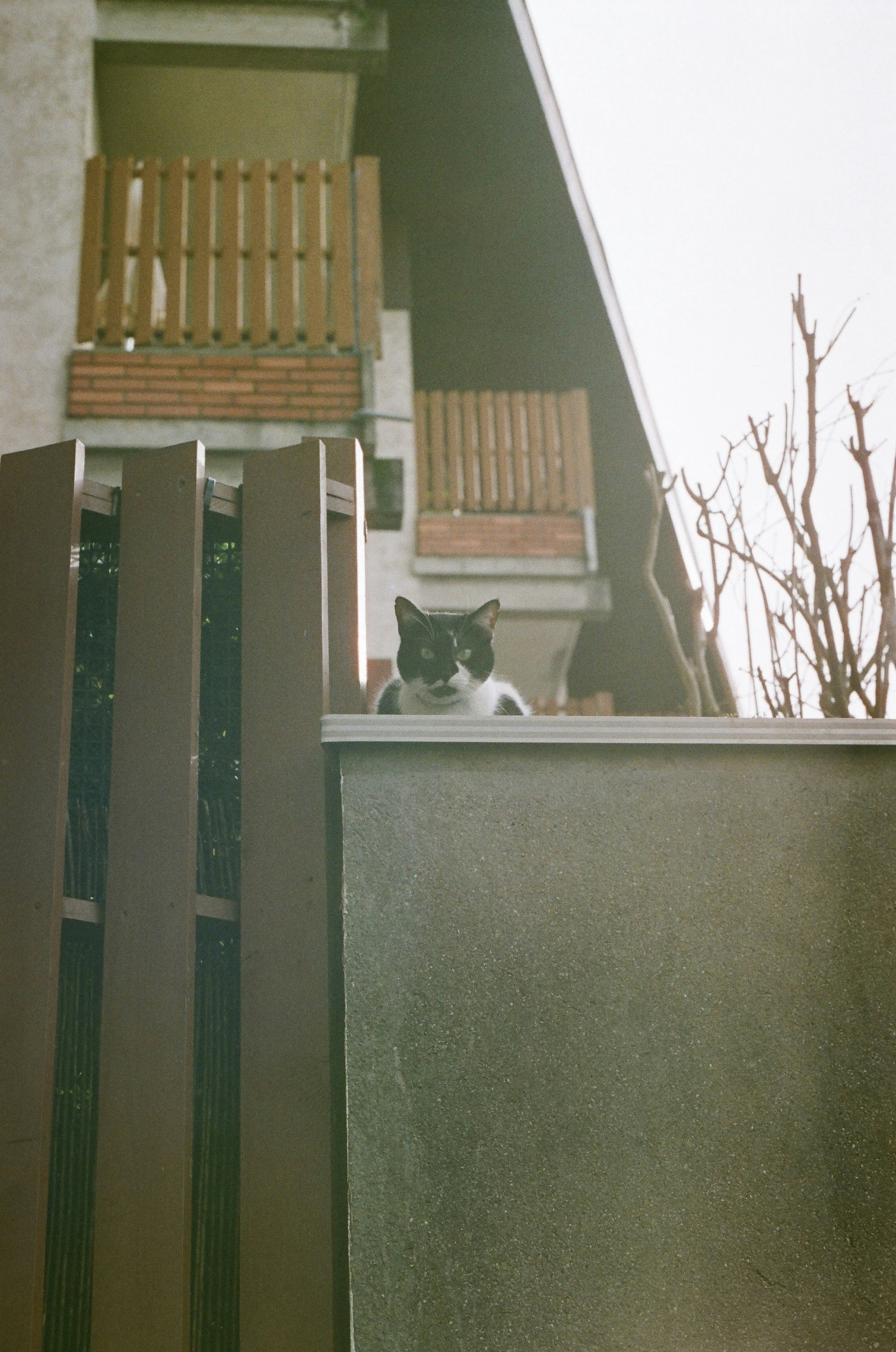 Photo by aucoeurdumonstre