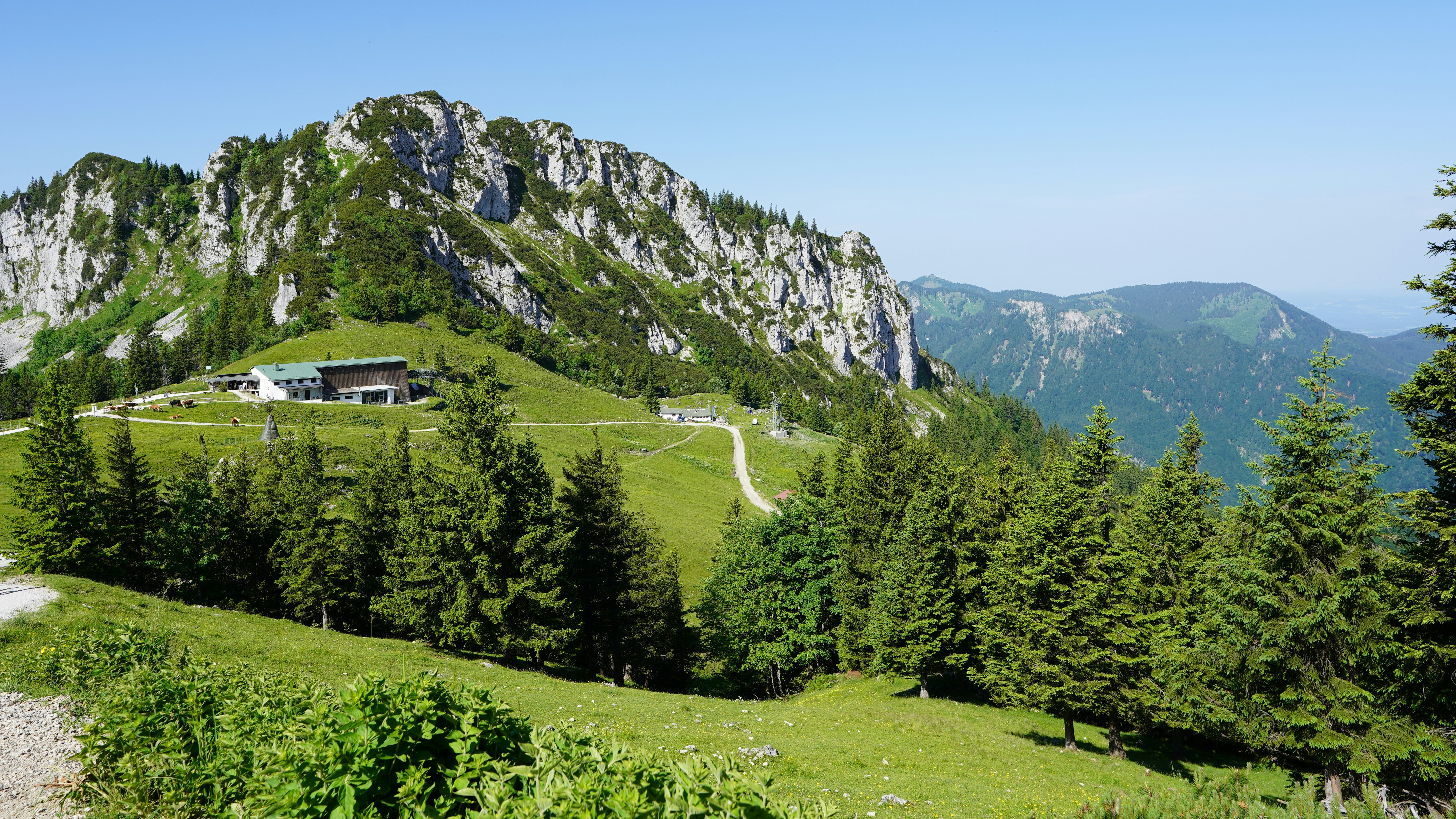 Mountain landscape with a building and pine trees