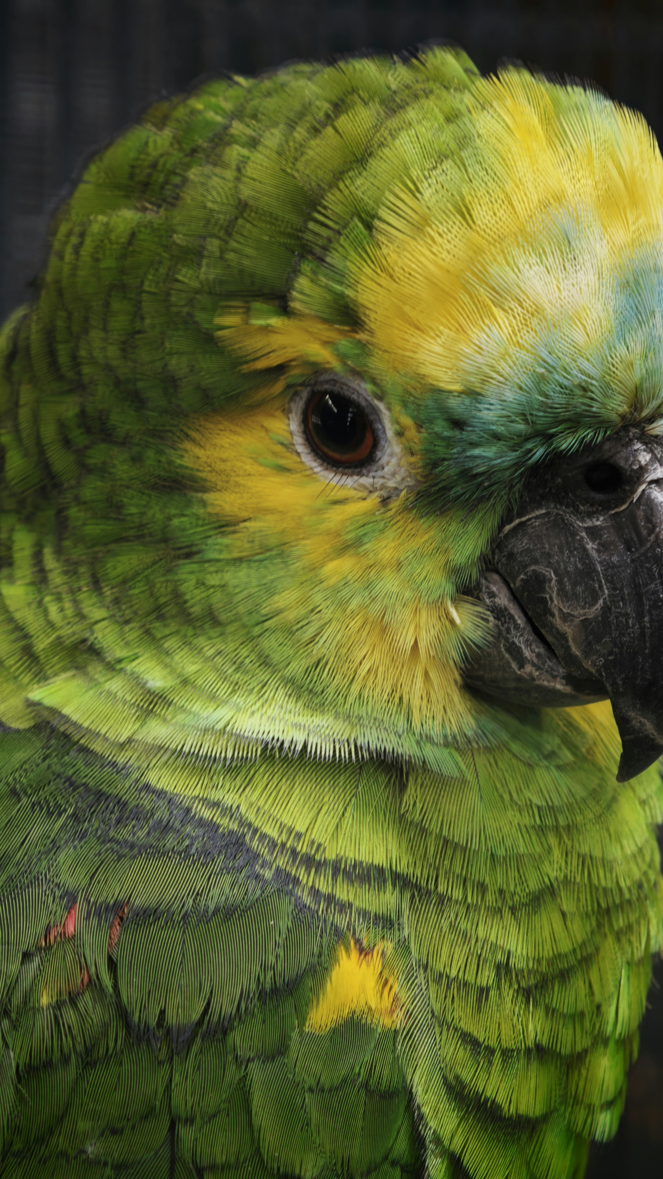 Photo by ashikhasan82