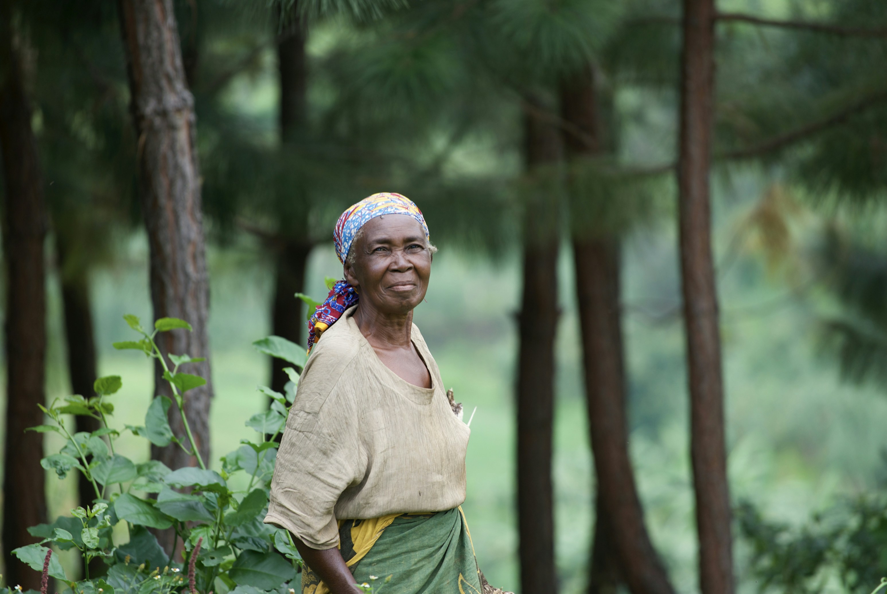 Photo by christergundersen