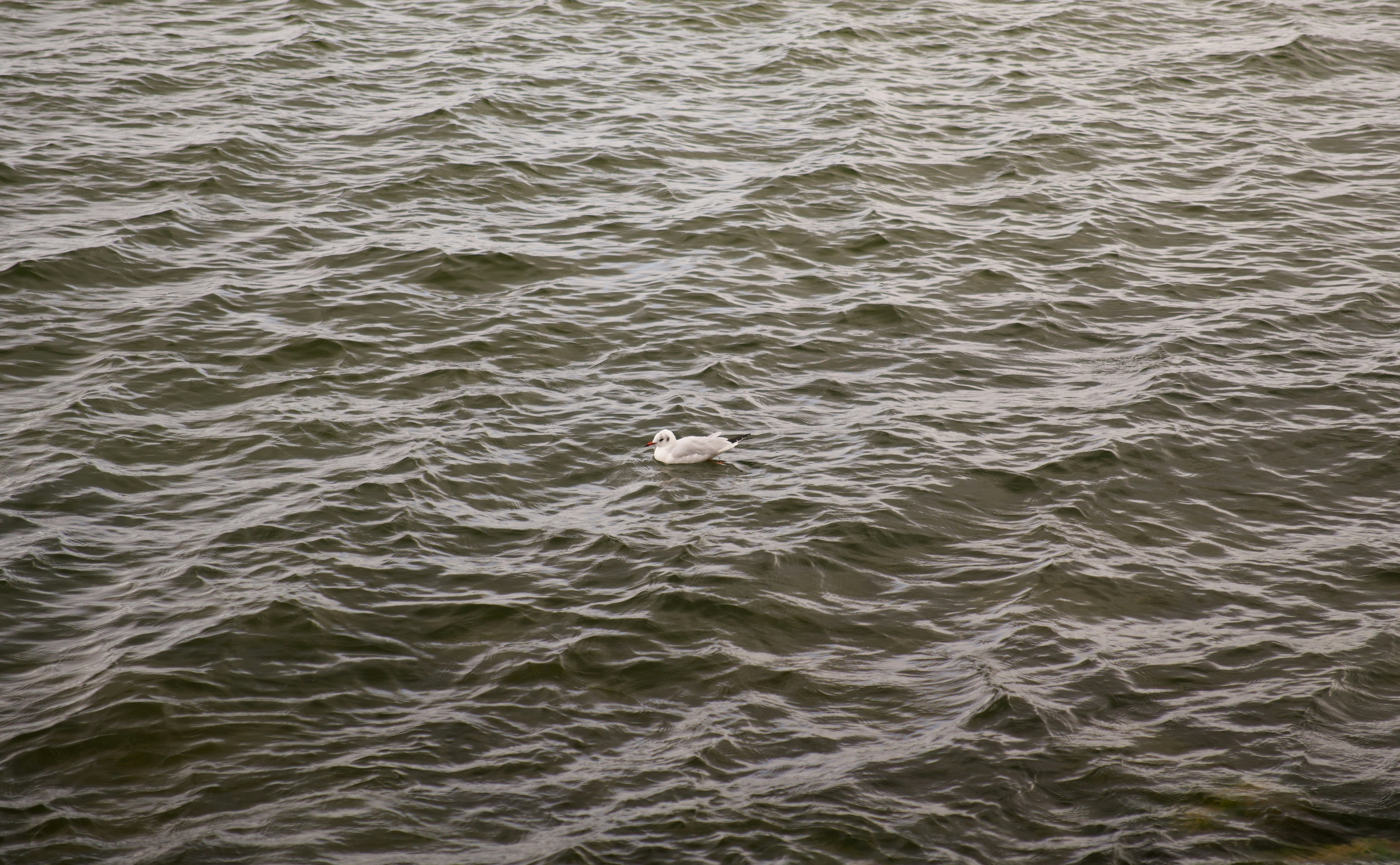 Photo by kufelznadwisly