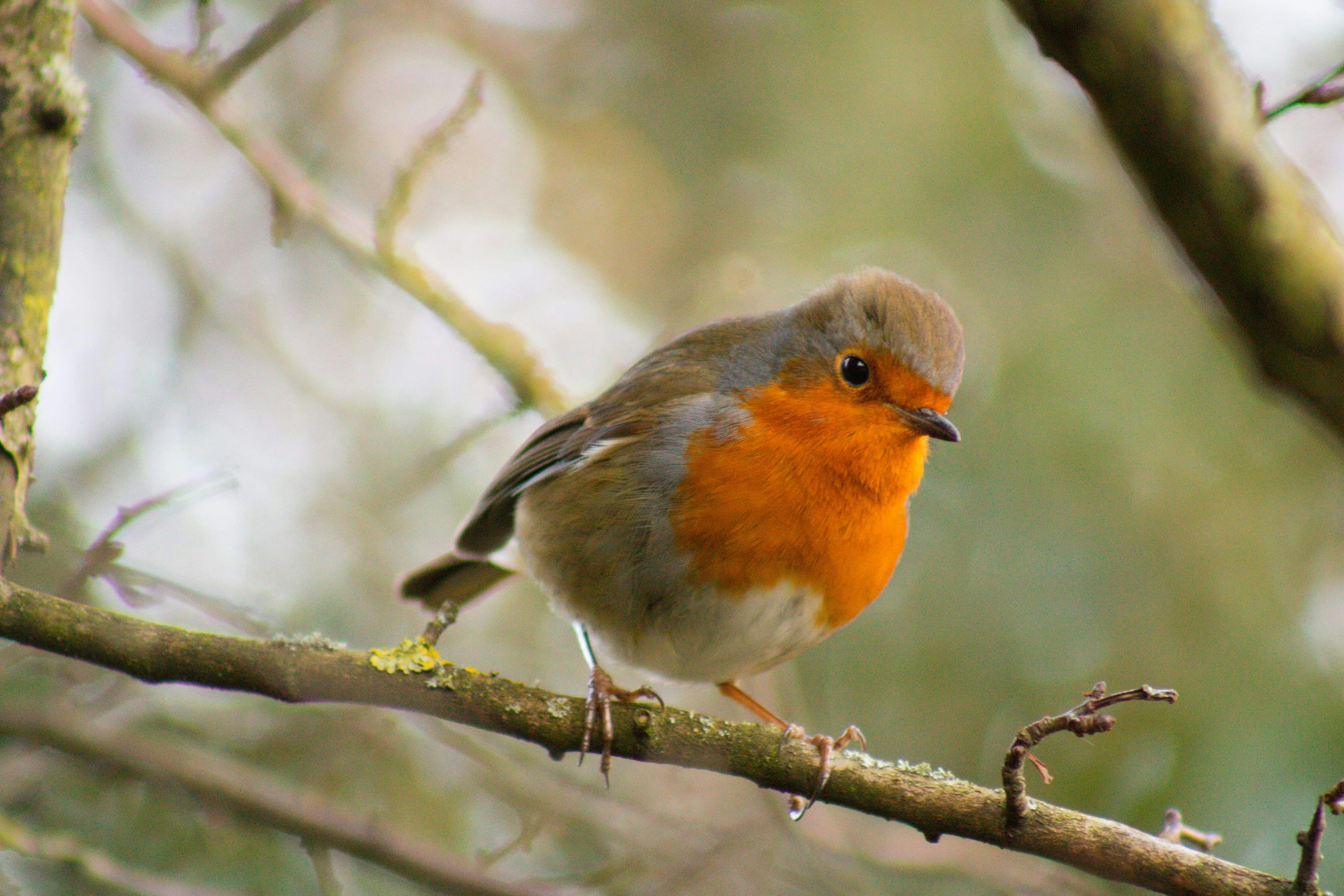 Photo by nickj_photography