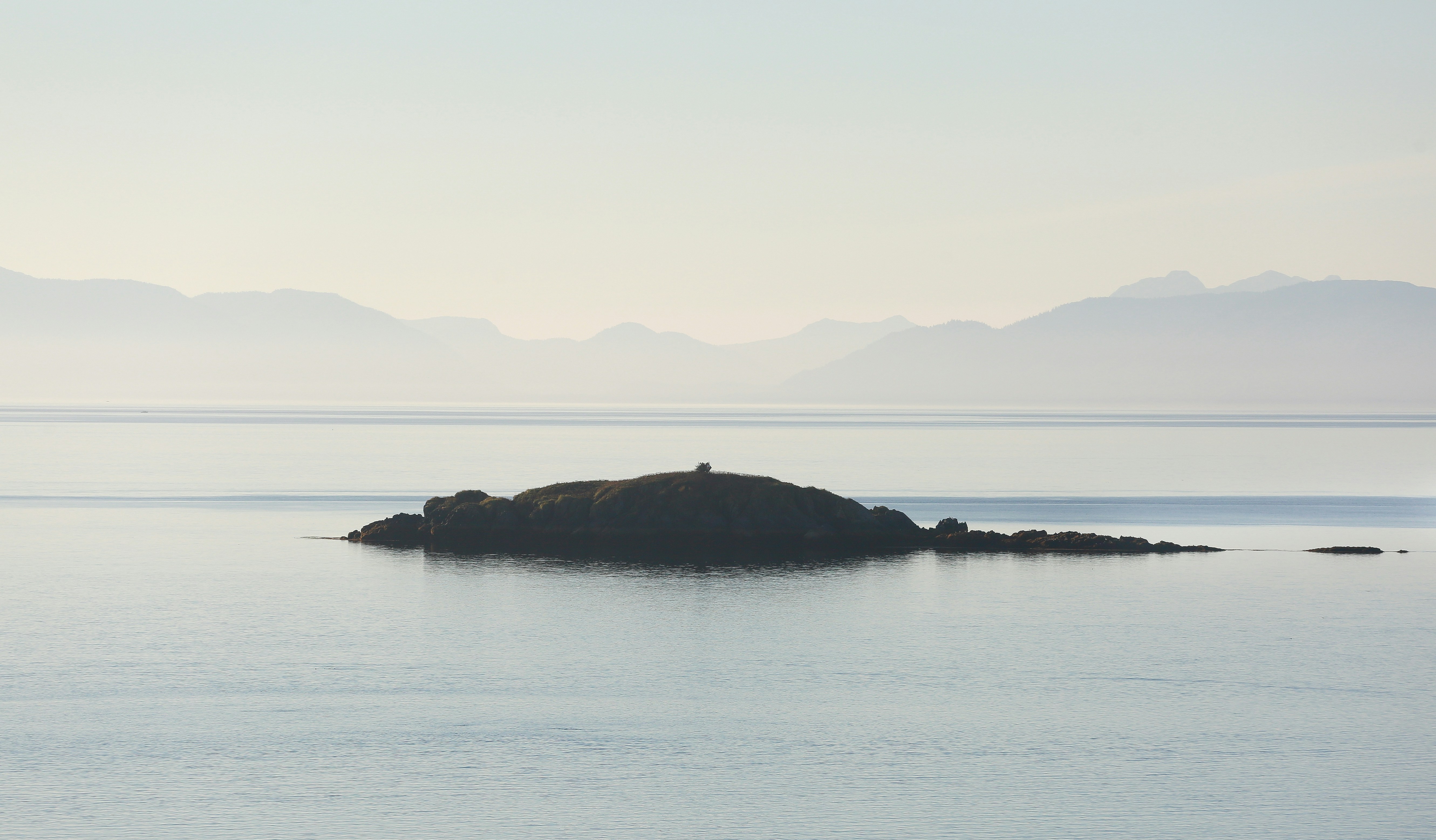 Photo by tina_b_williamsstudio