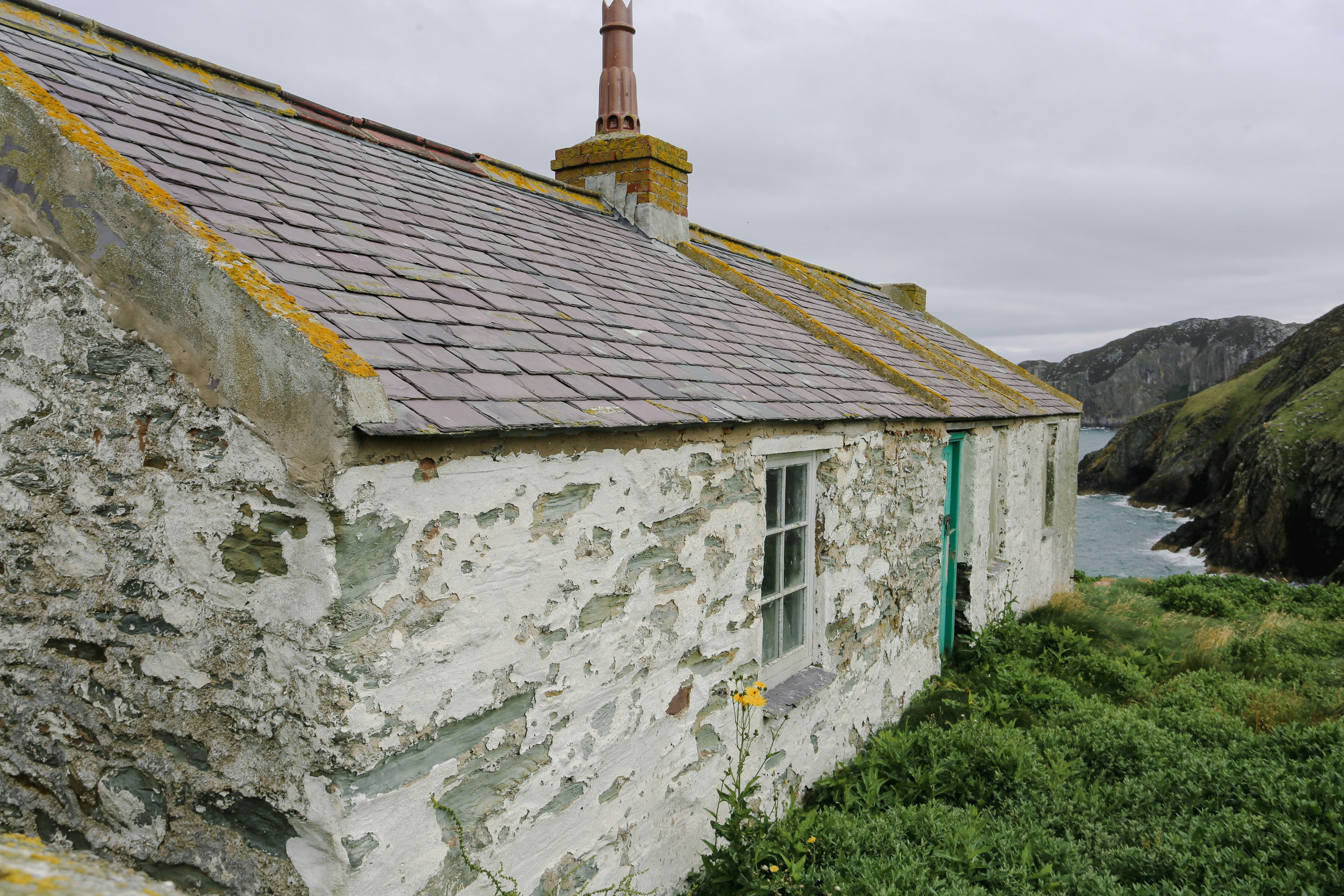 Photo by tina_b_williamsstudio