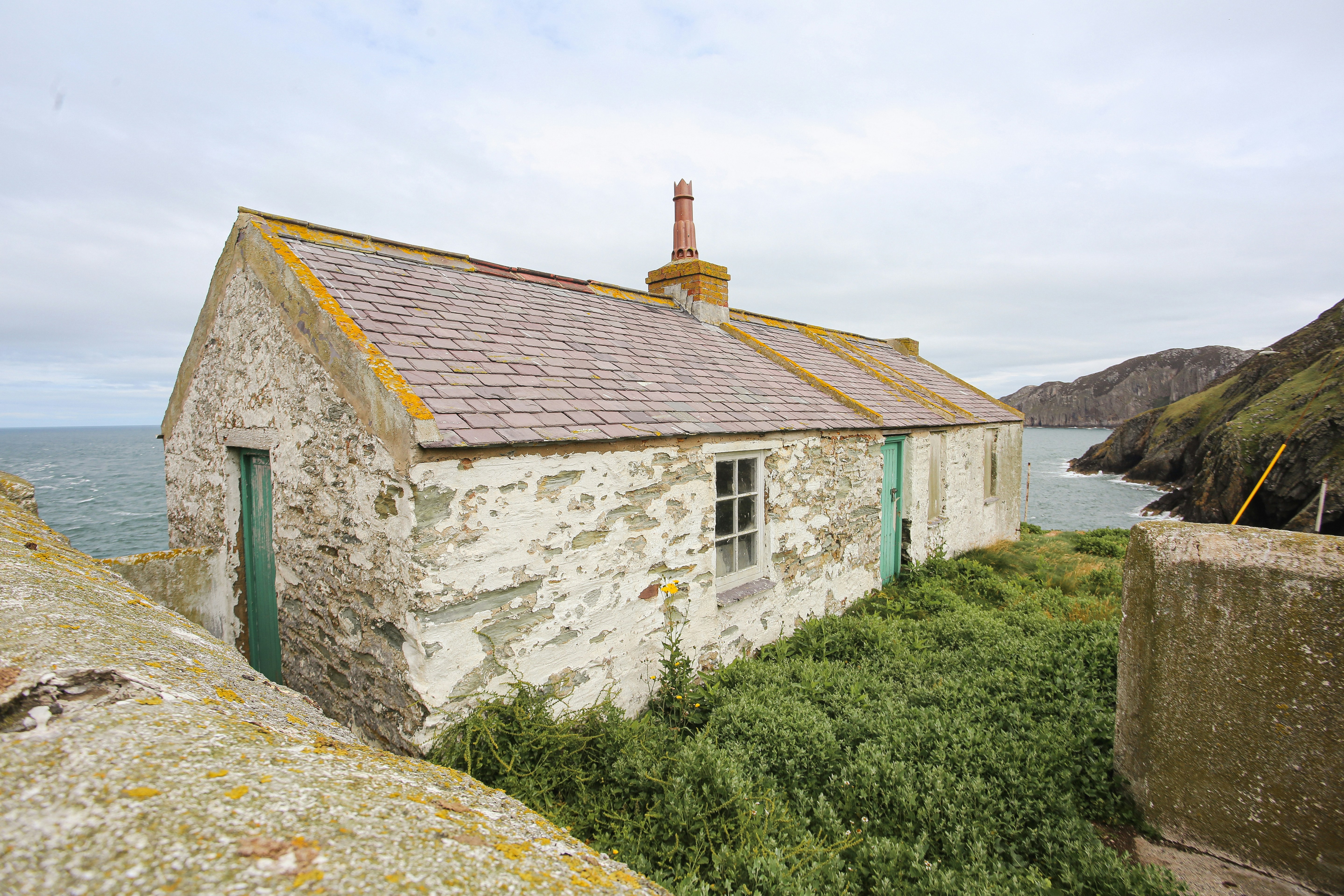 Photo by tina_b_williamsstudio