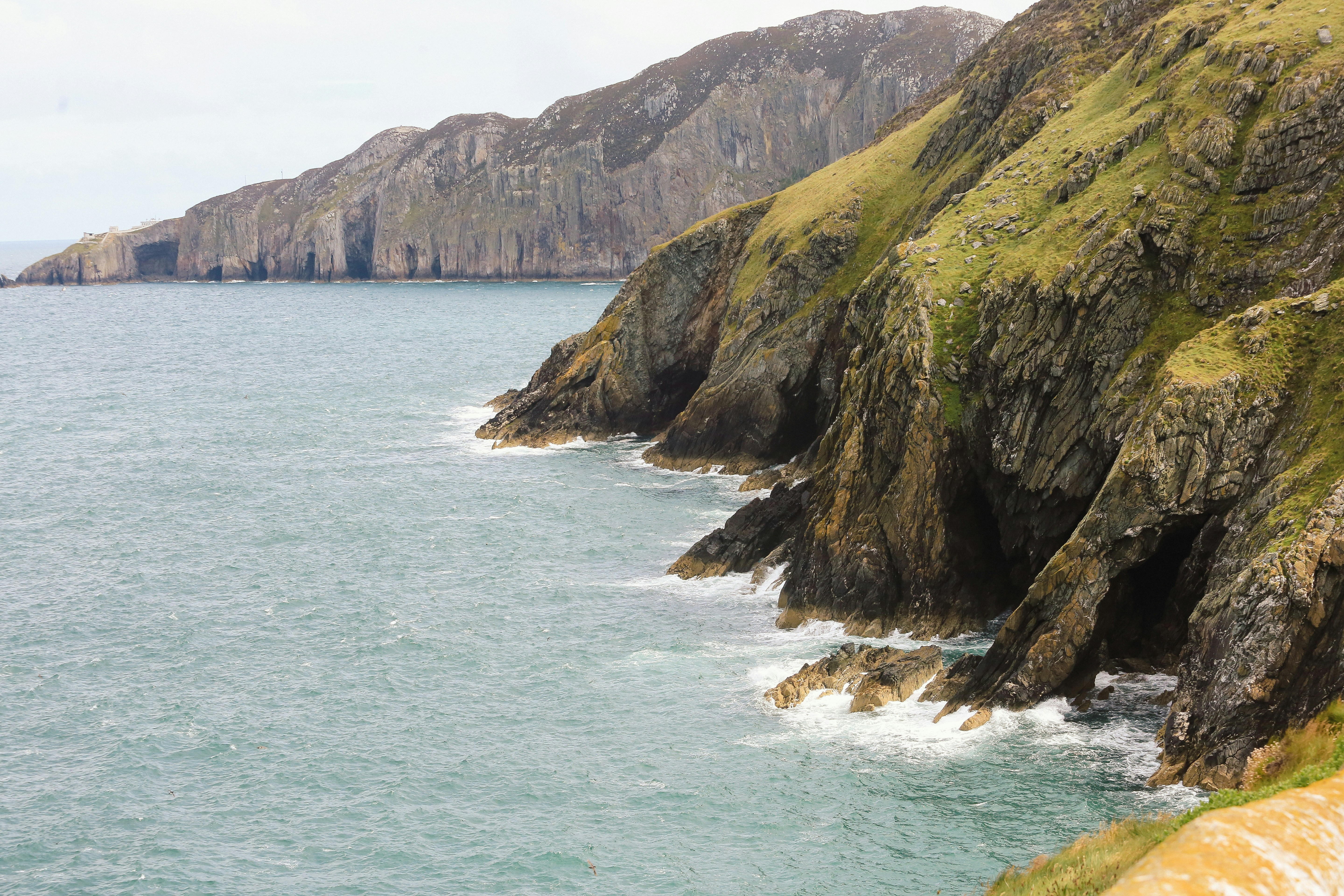 Photo by tina_b_williamsstudio