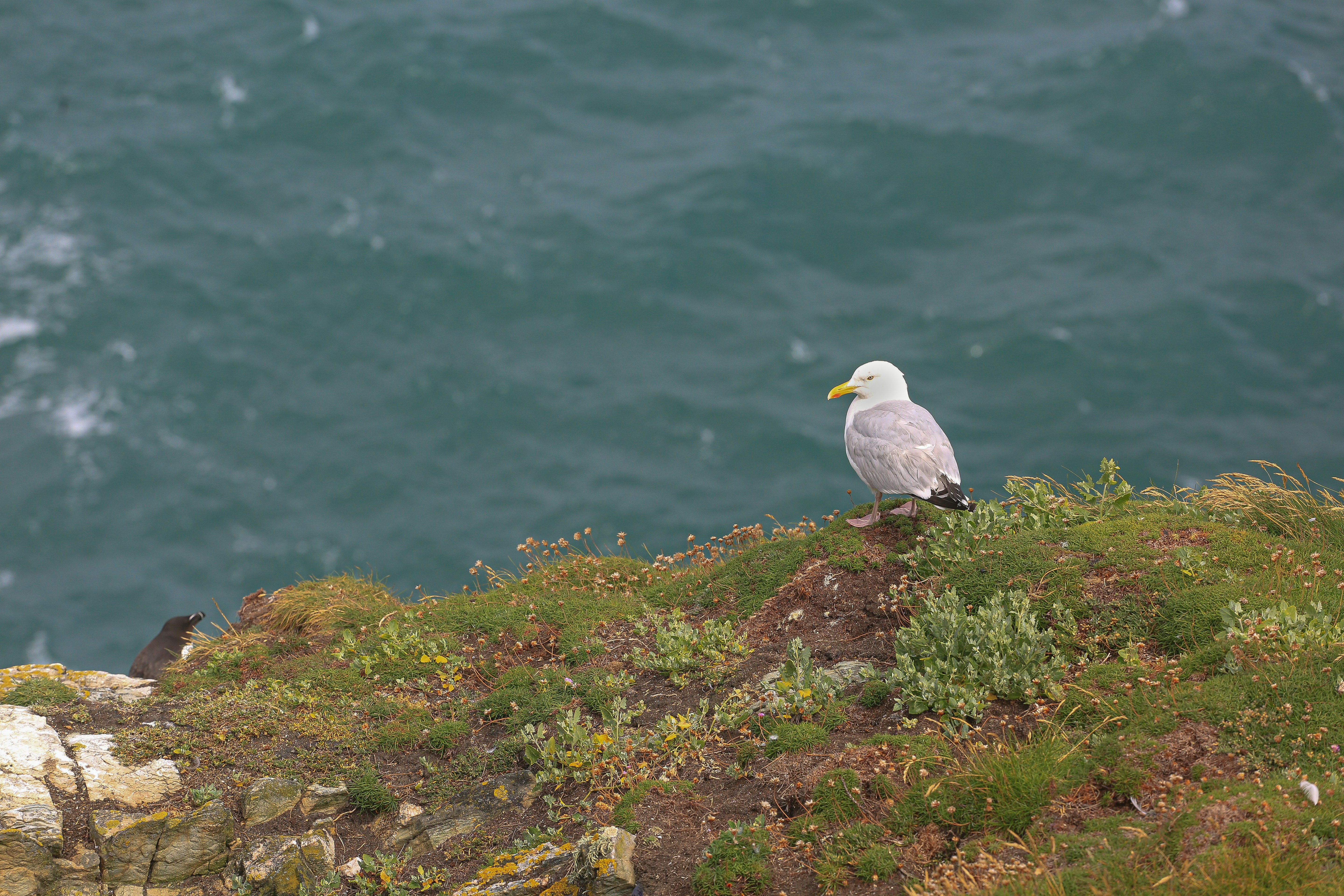 Photo by tina_b_williamsstudio