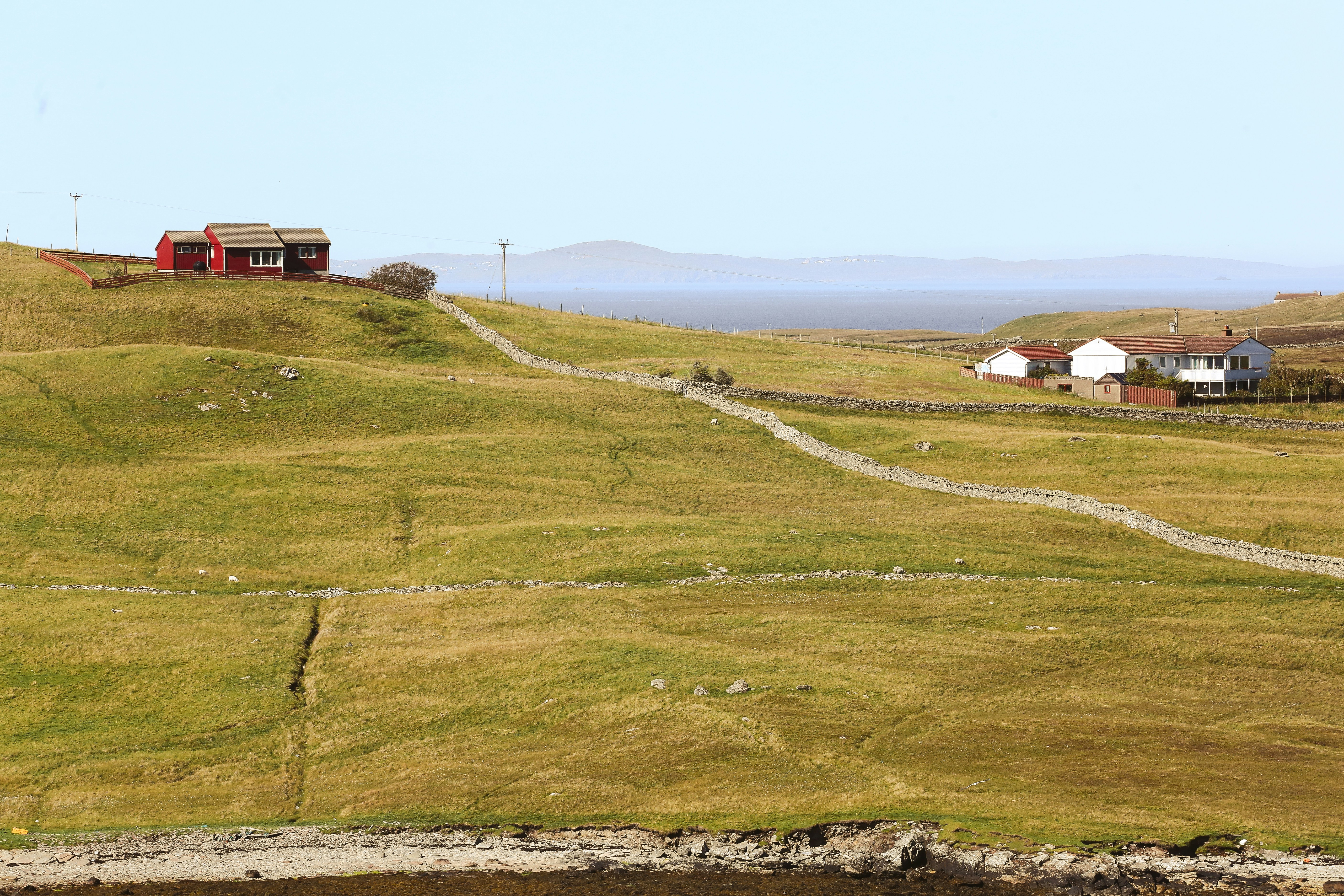 Photo by tina_b_williamsstudio