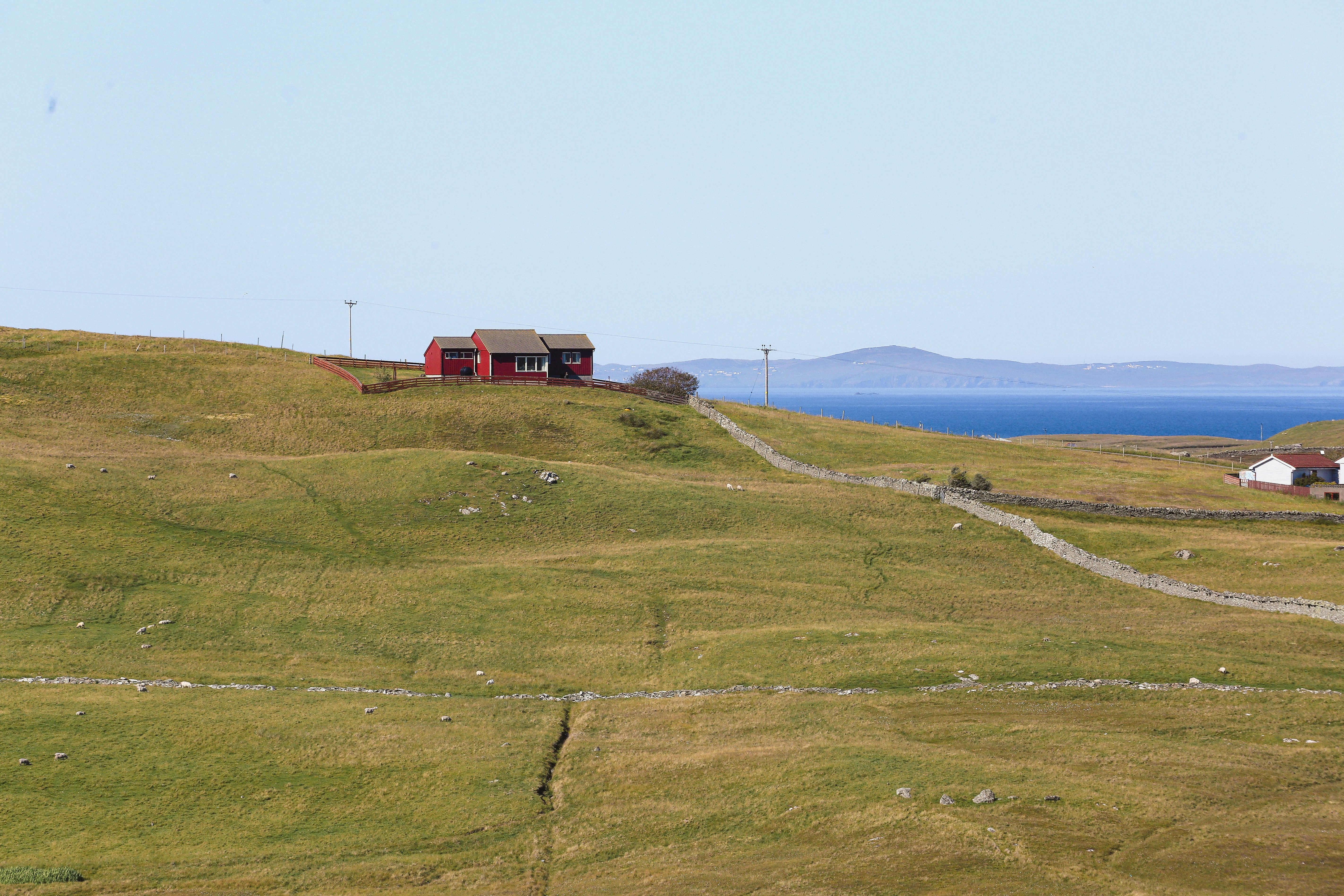 Photo by tina_b_williamsstudio