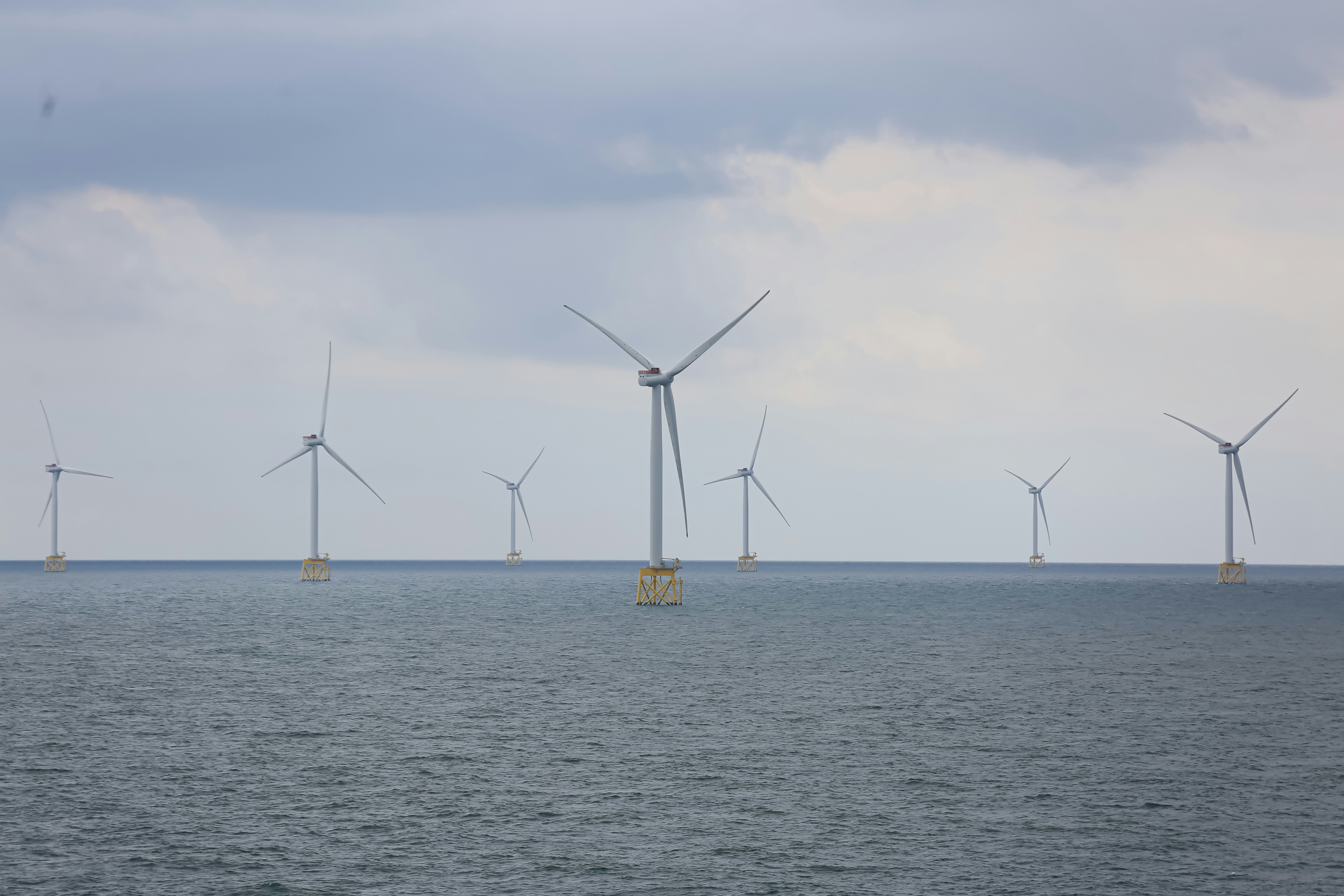 Photo by tina_b_williamsstudio