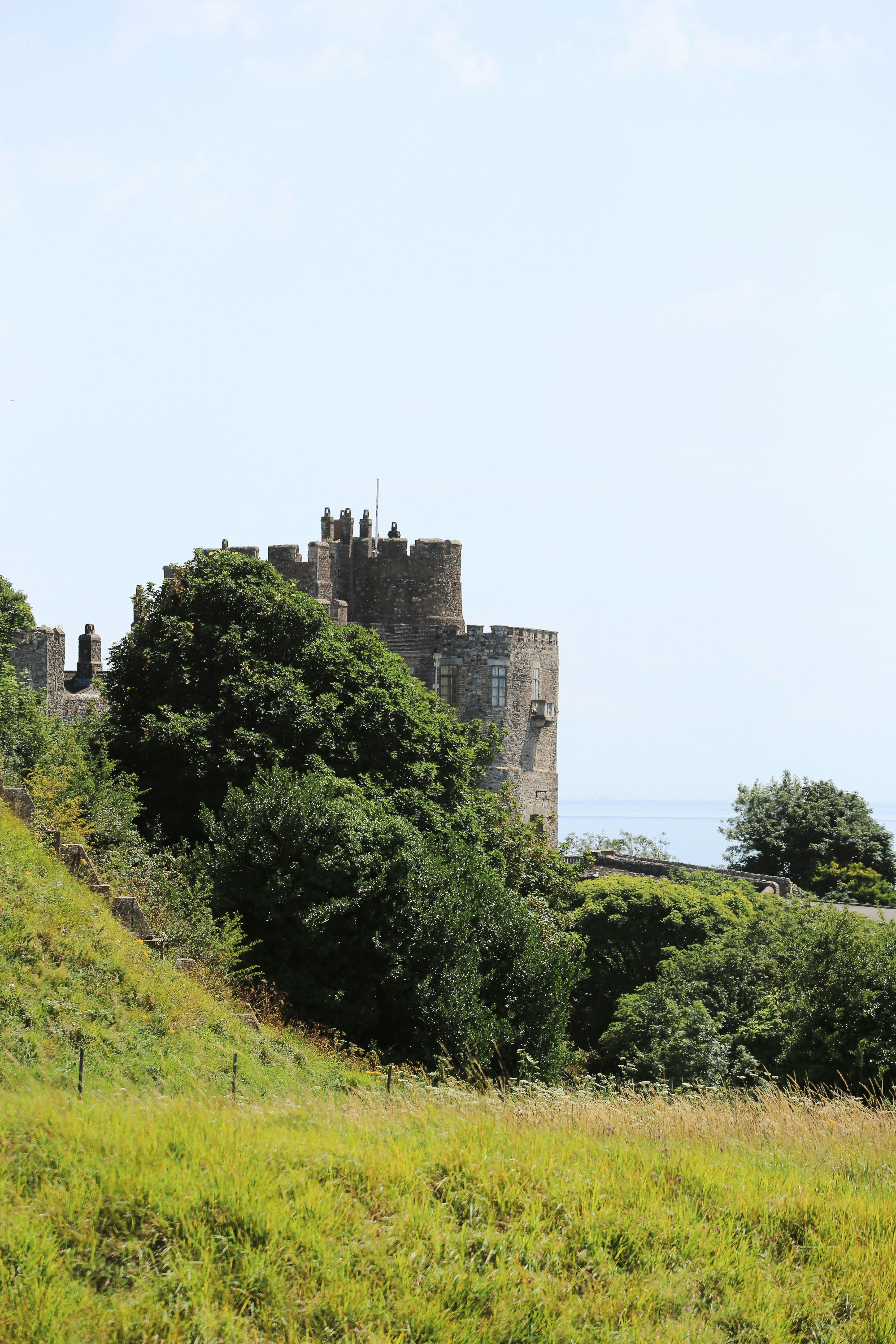 Photo by tina_b_williamsstudio