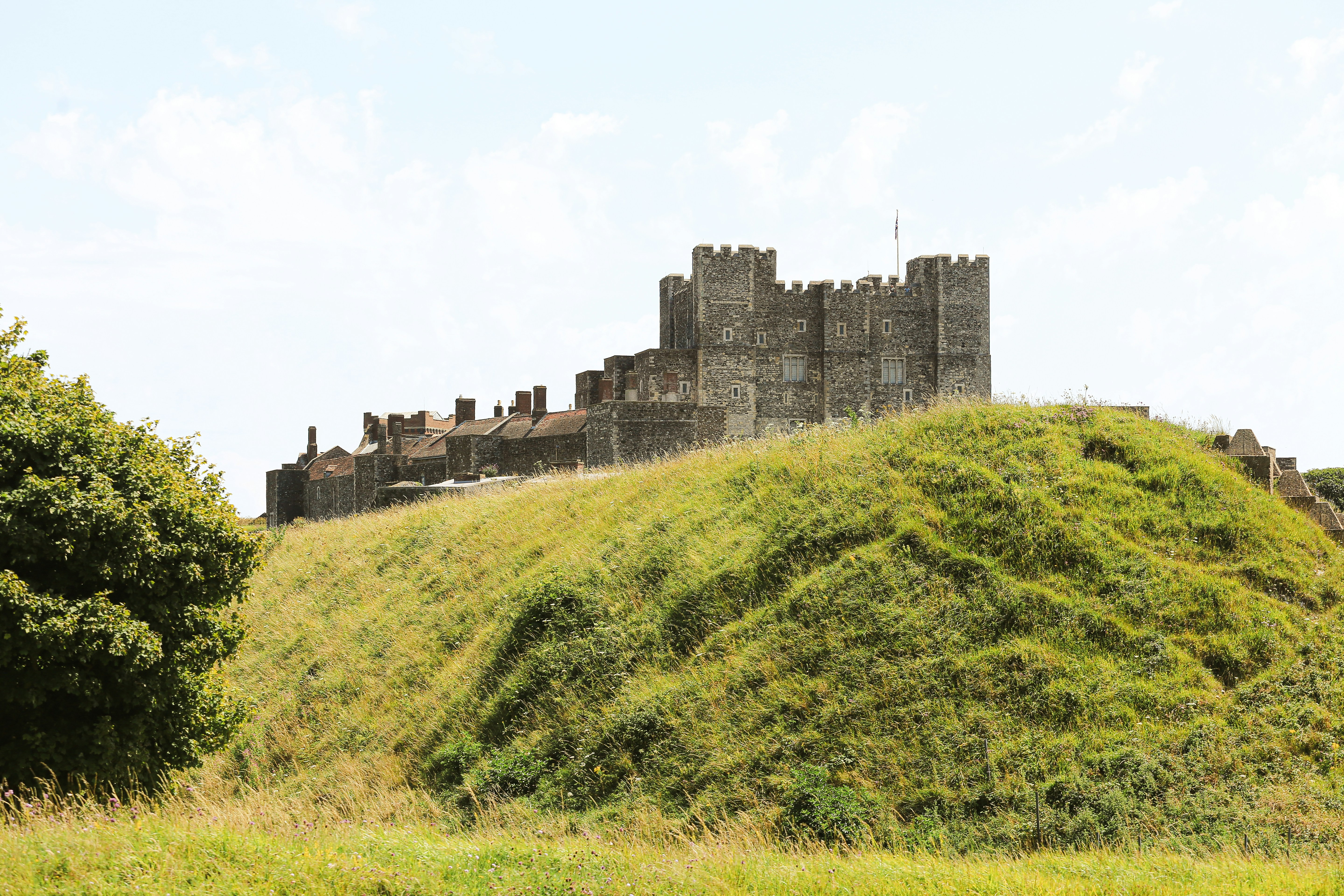 Photo by tina_b_williamsstudio