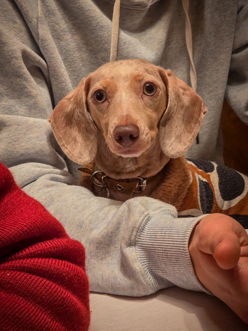 Ear Cleaning