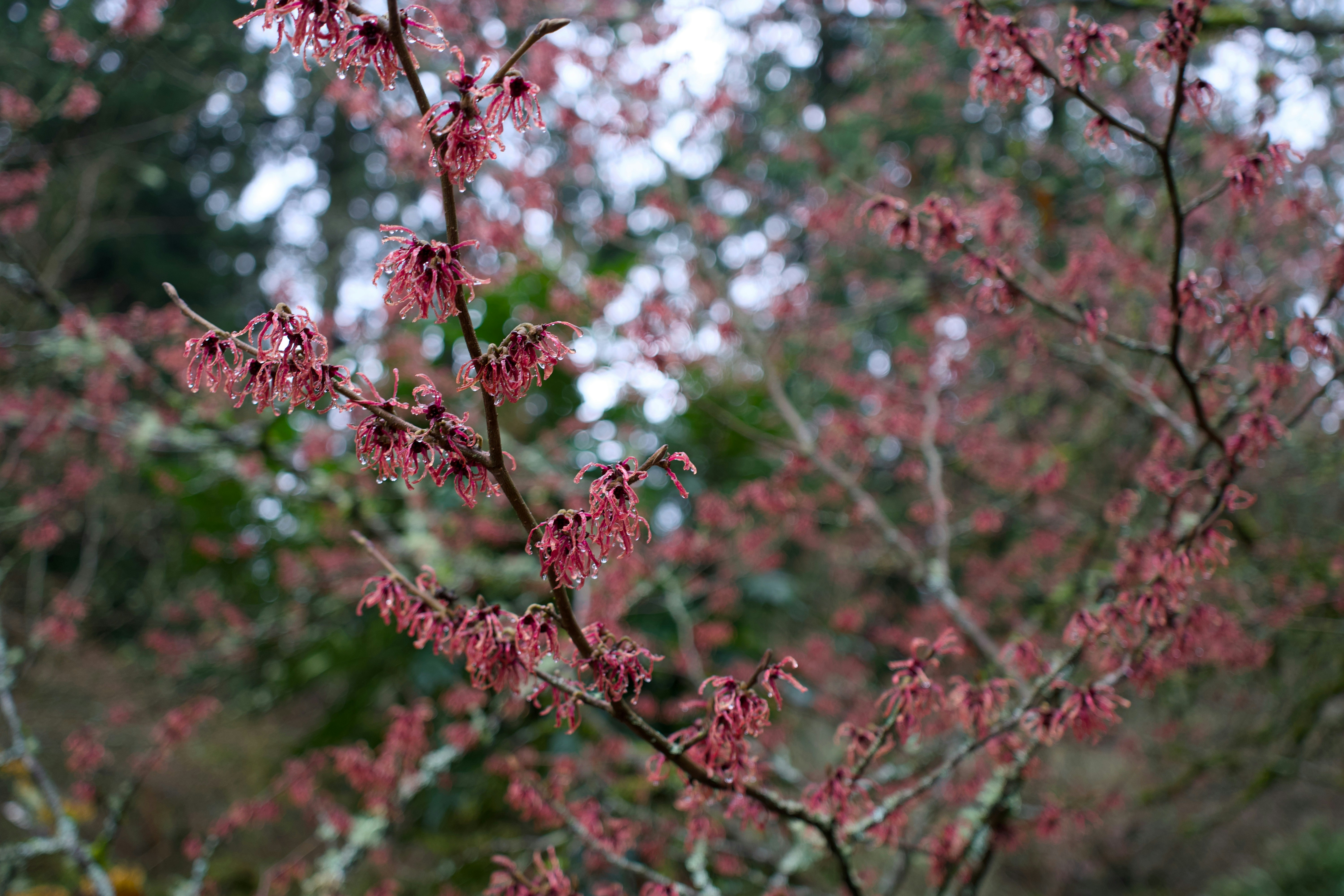 Photo by alexstonepnw