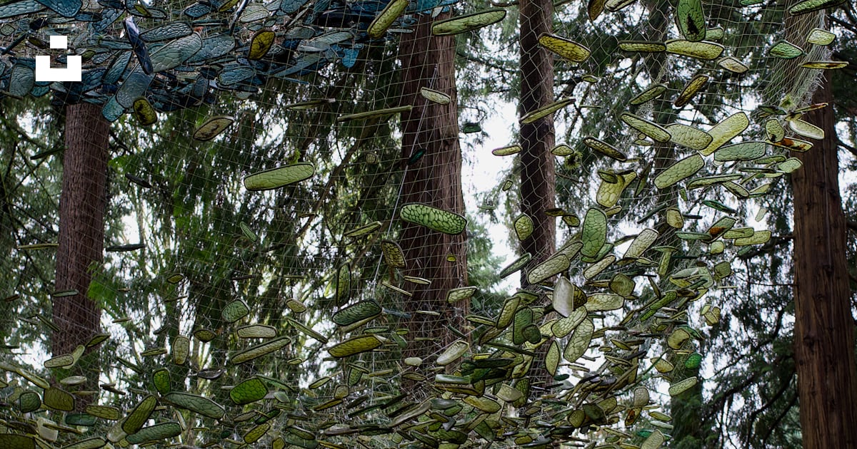 Circular art installation made of blue and green glass bottles. photo ...