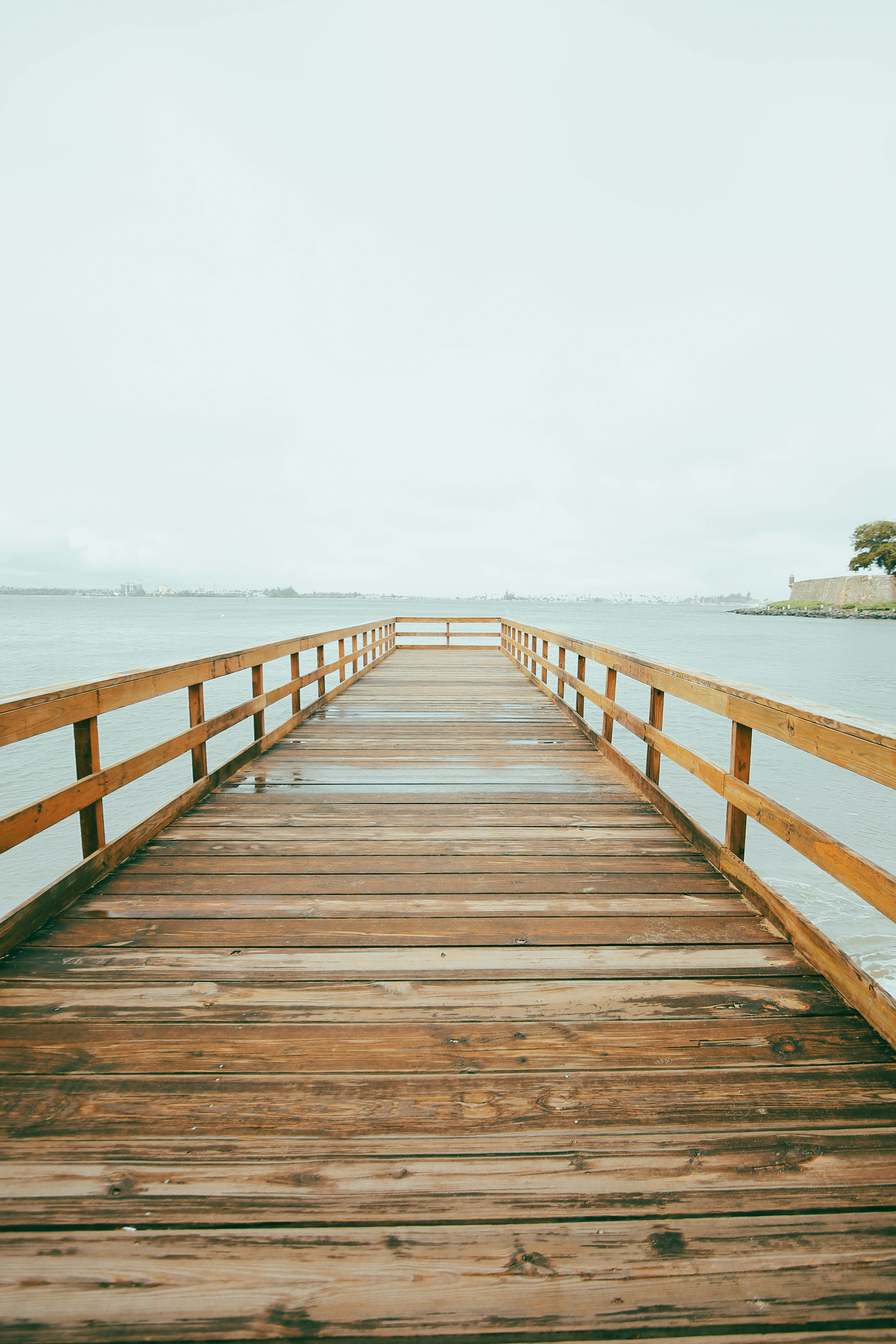 Photo by tina_b_williamsstudio