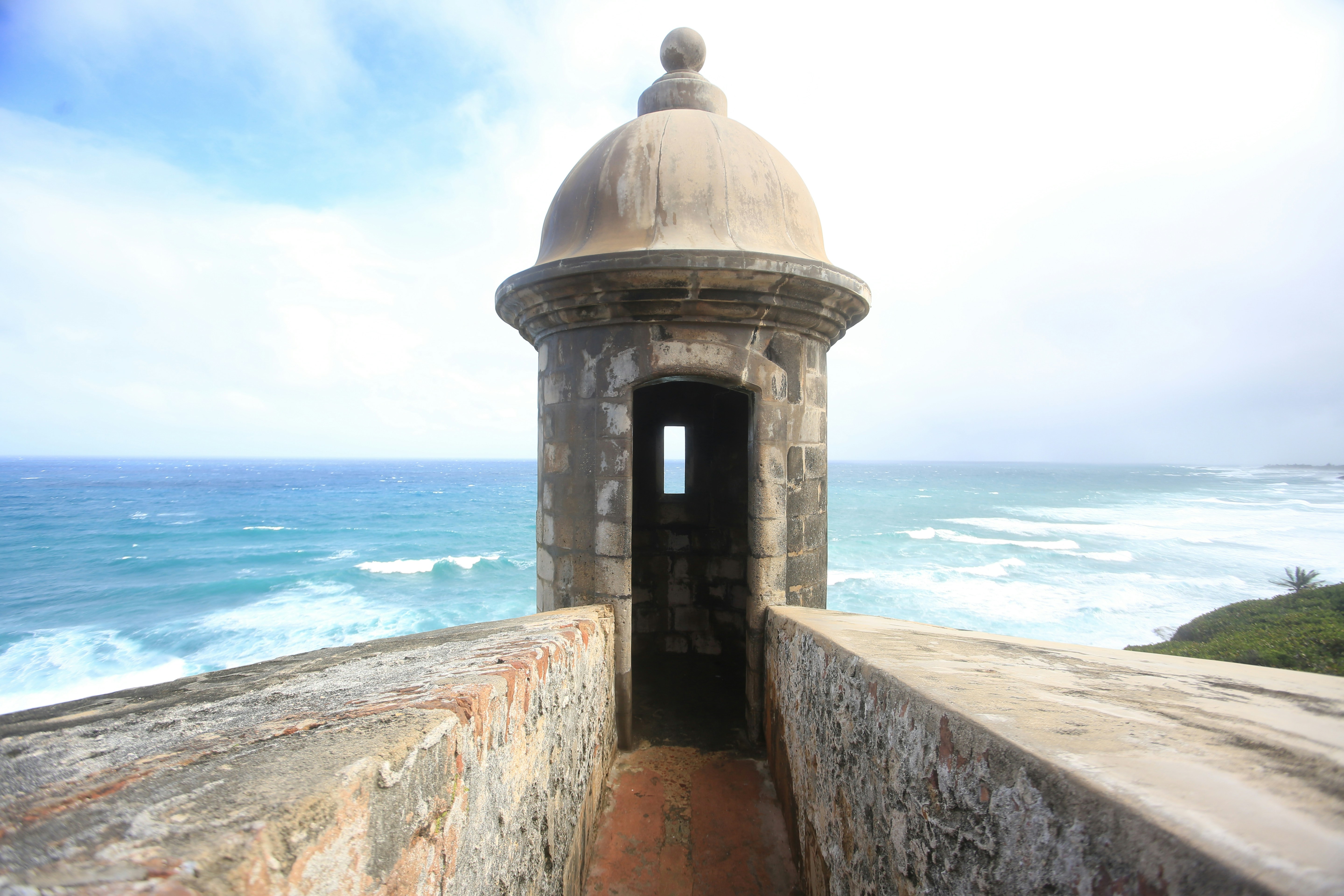 Photo by tina_b_williamsstudio