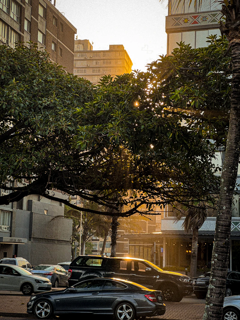 A residential street lined with buildings and trees