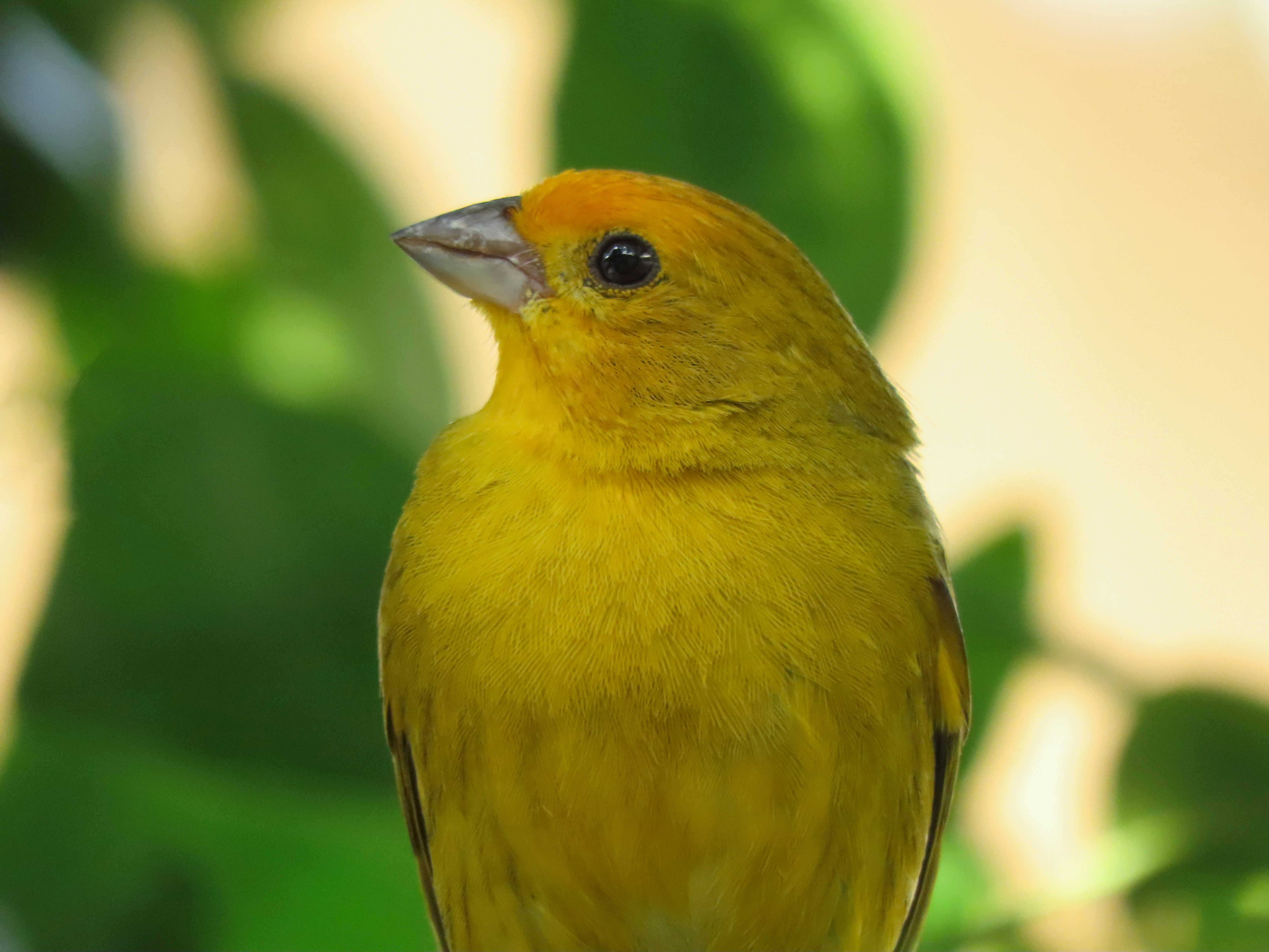 Photo by patricianicoloso