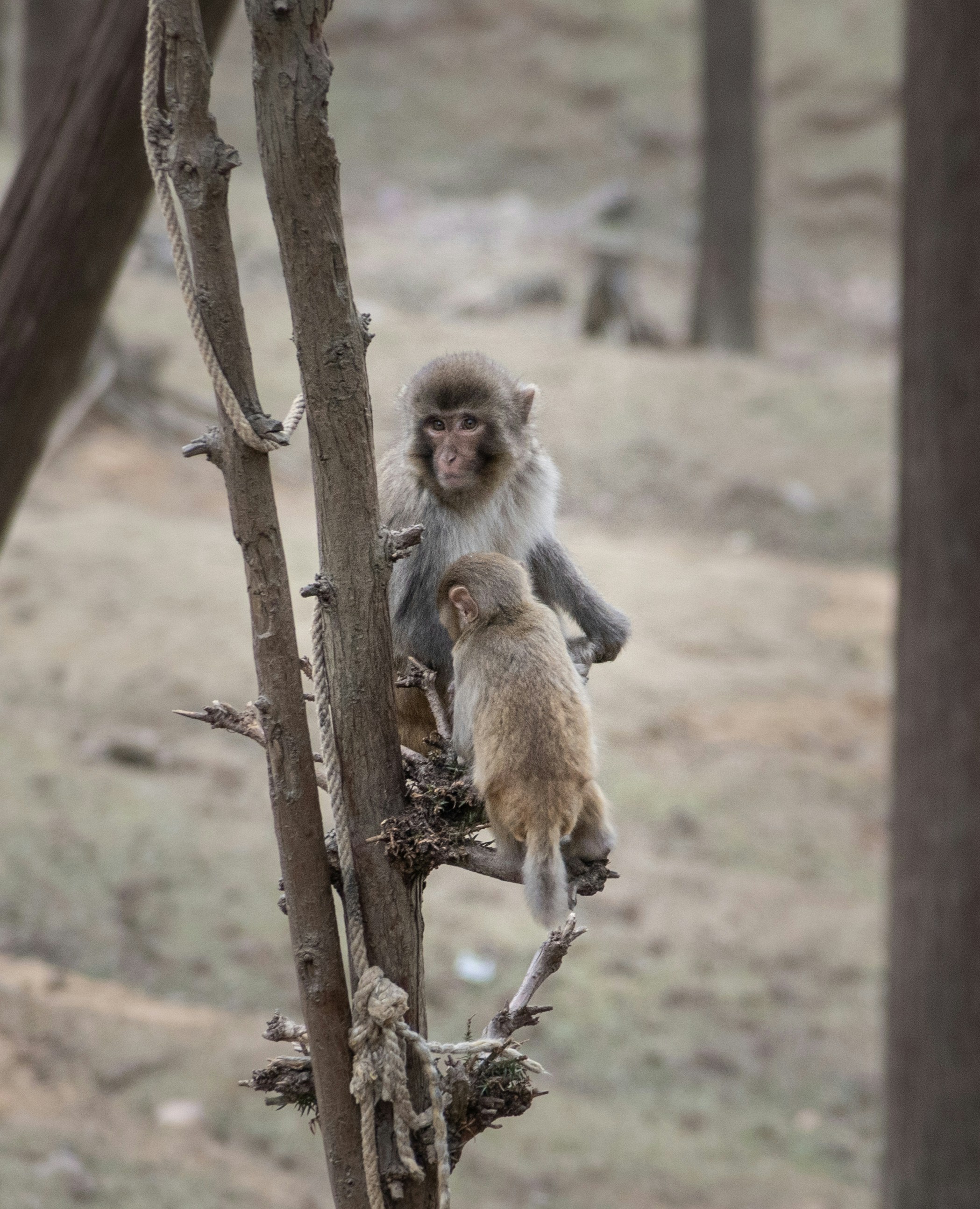 Photo by wu_hua_jiang