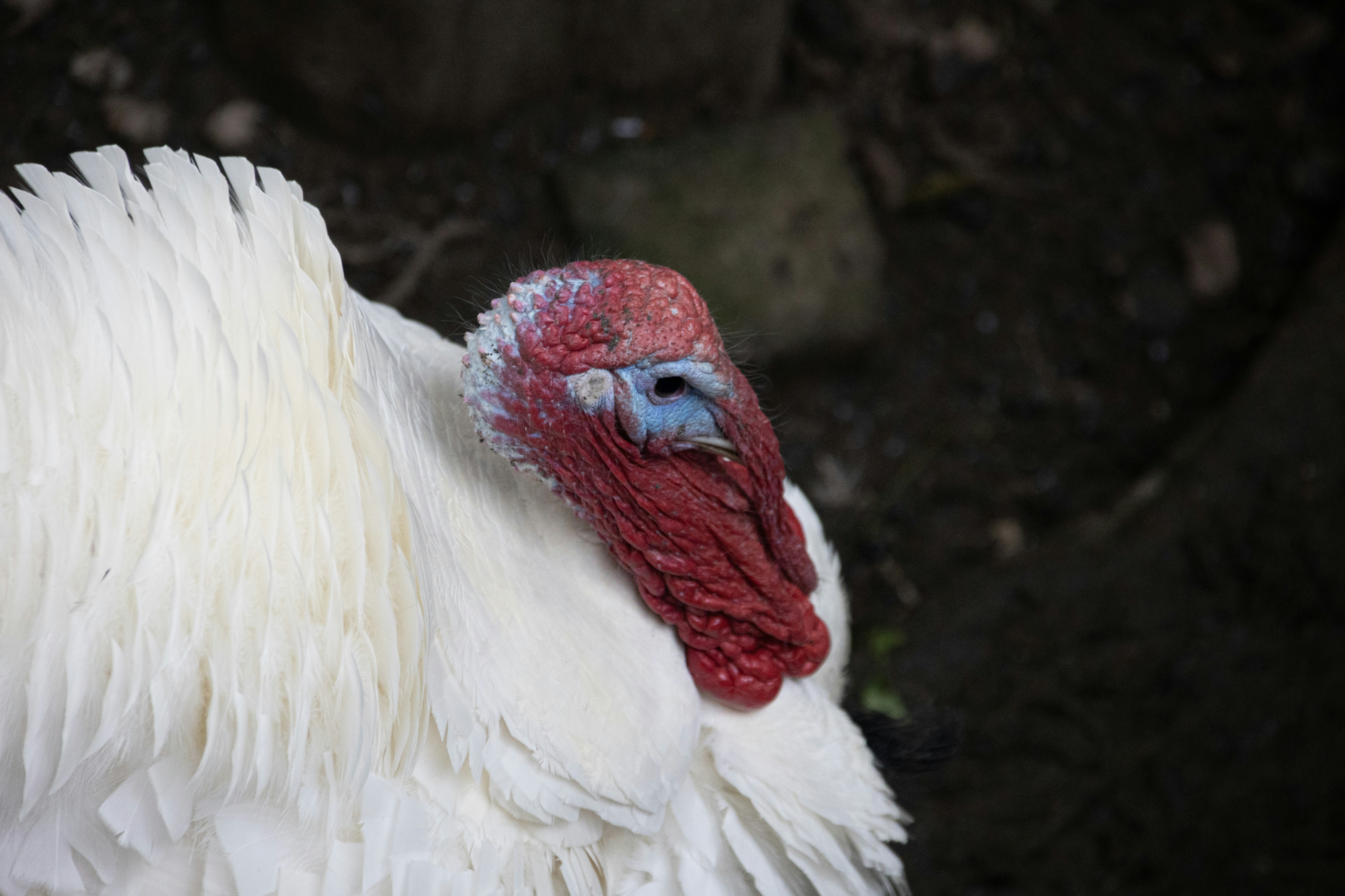 Photo by wu_hua_jiang