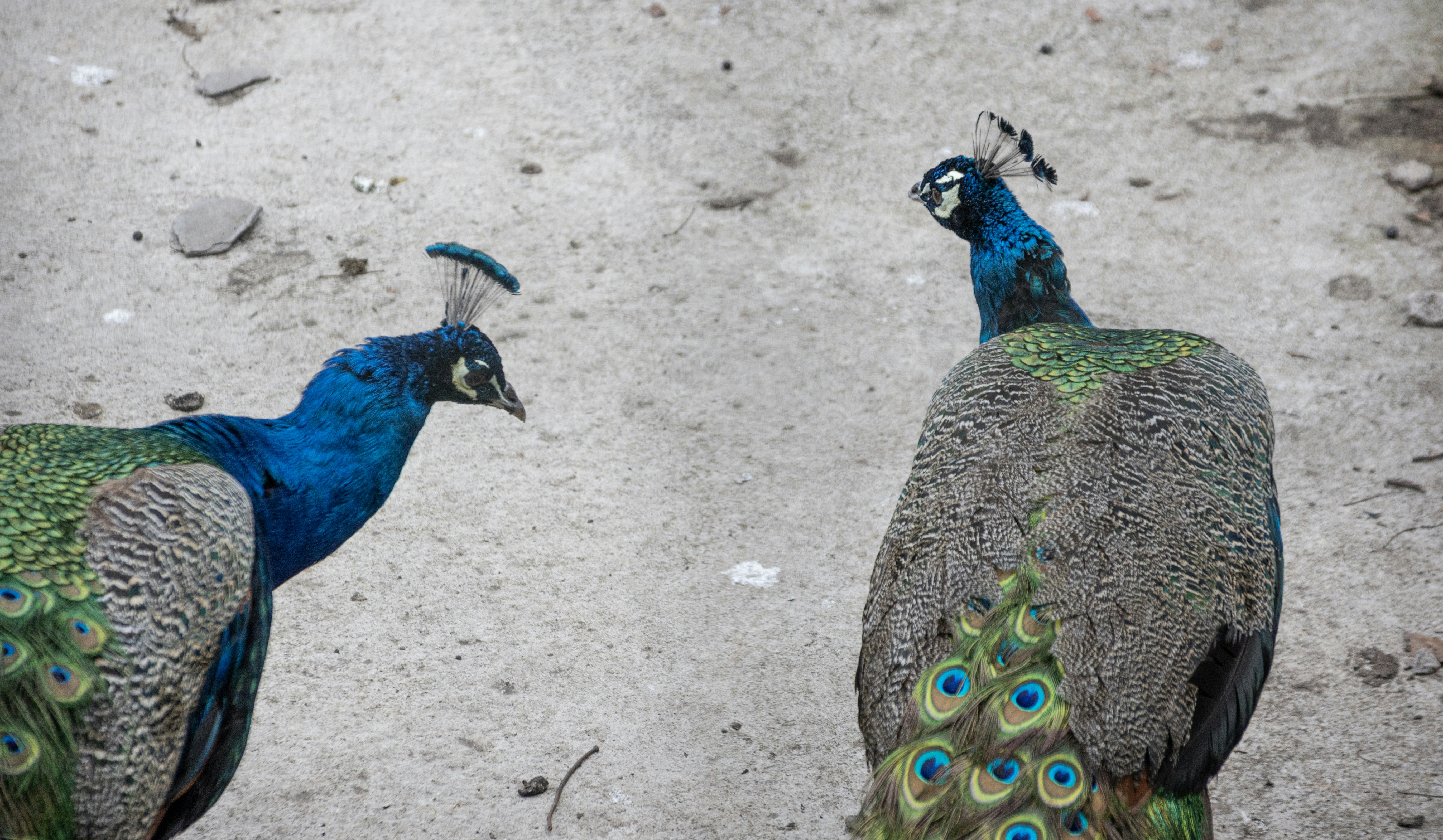 Photo by wu_hua_jiang