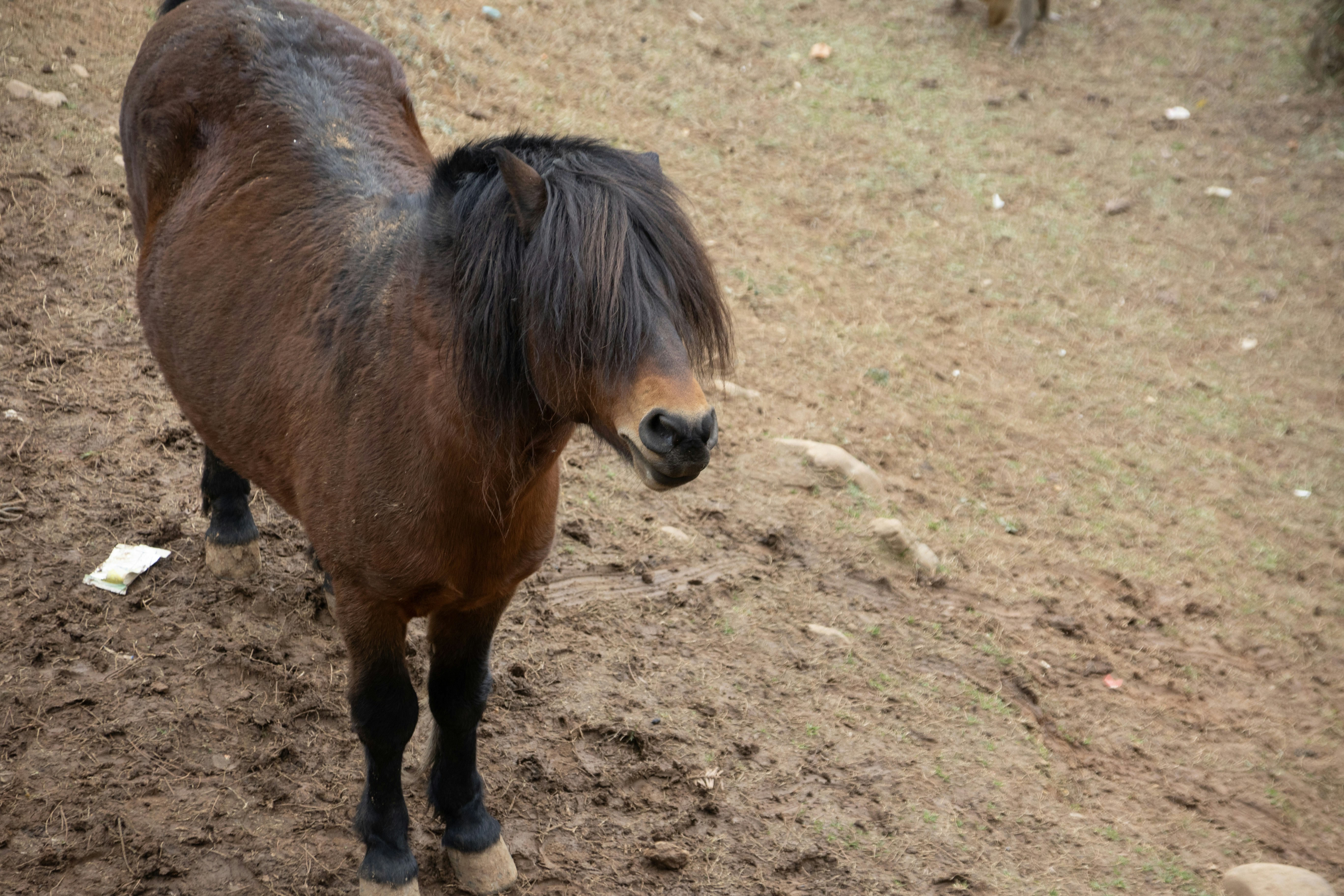 Photo by wu_hua_jiang