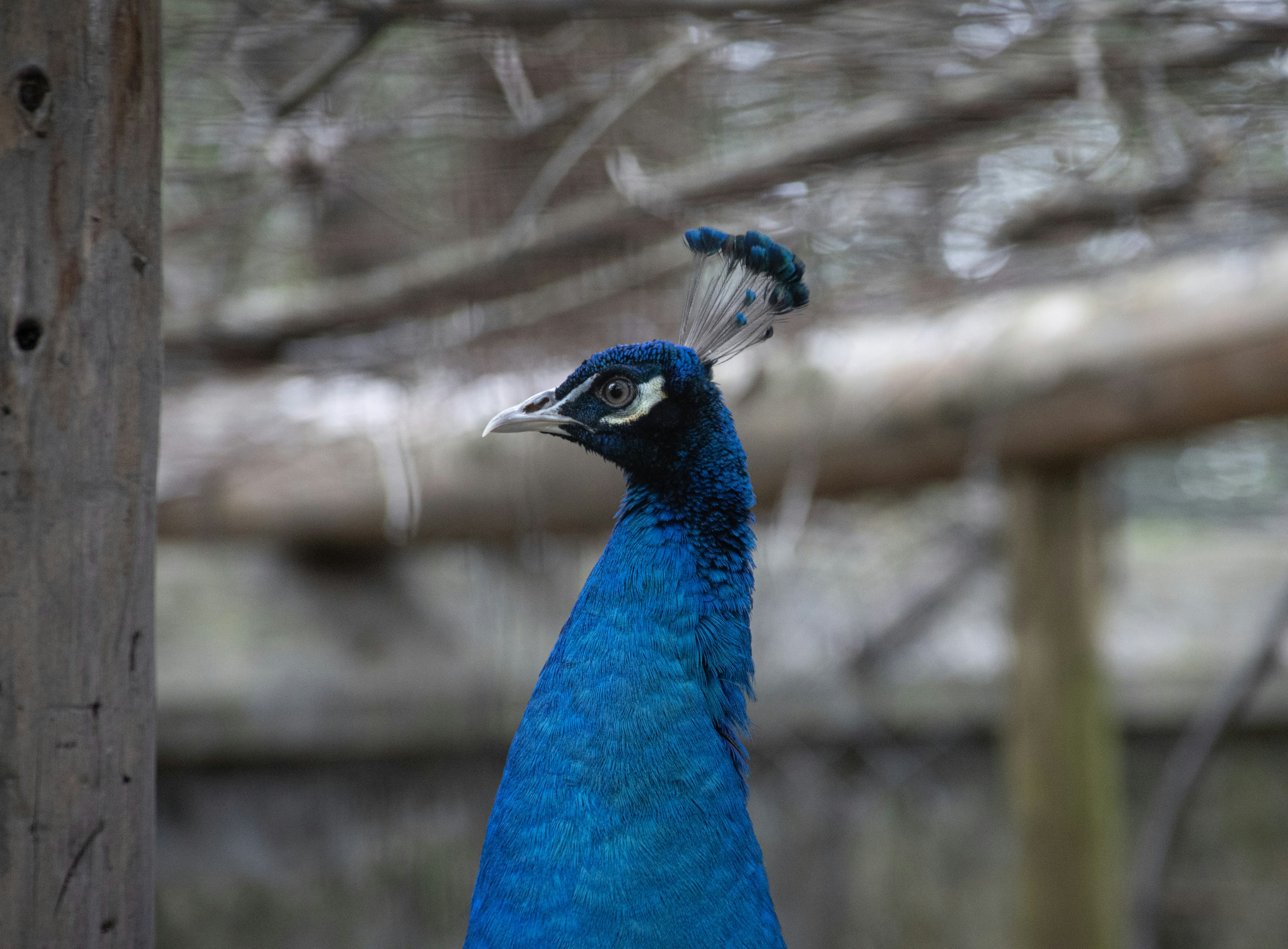 Photo by wu_hua_jiang