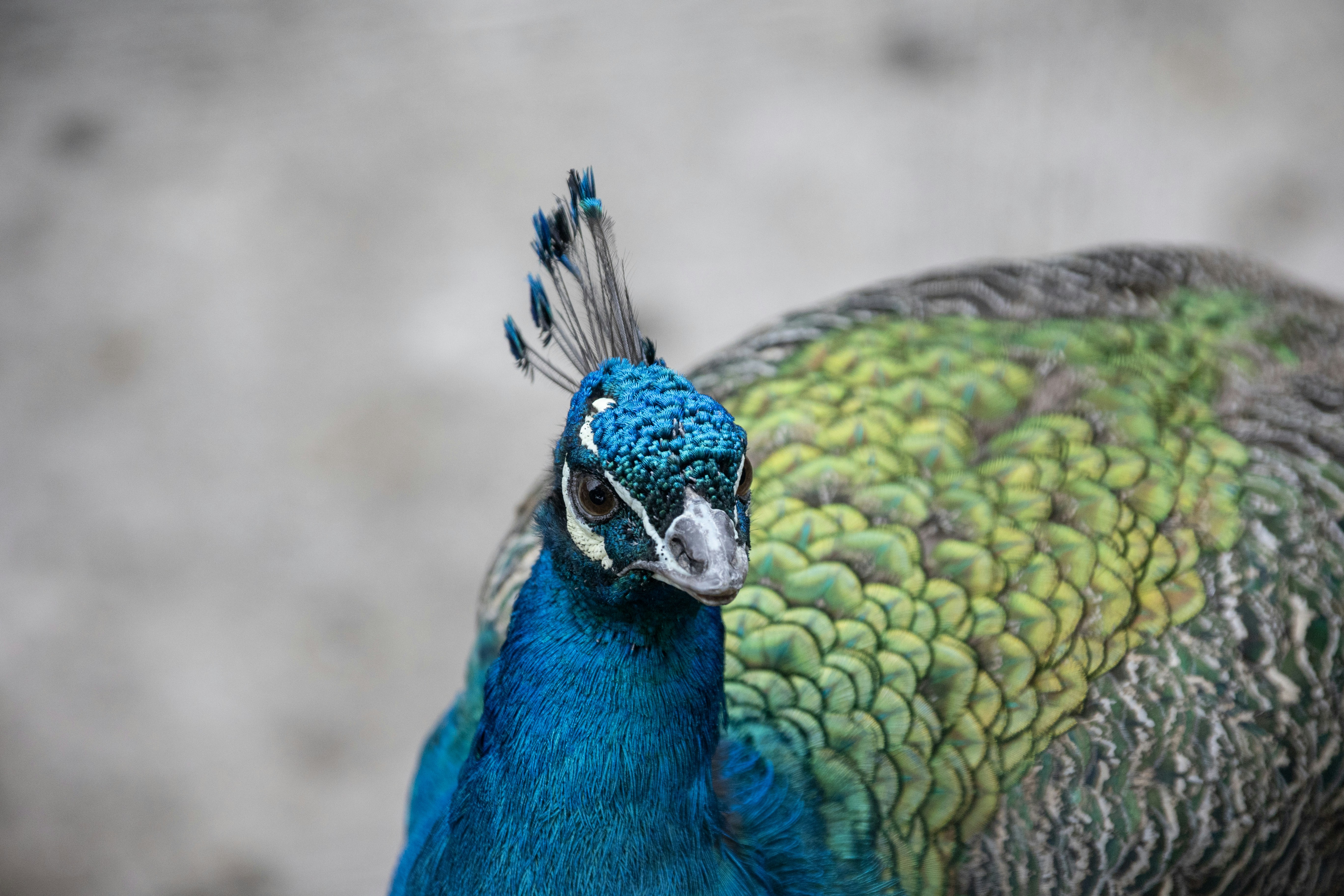 Photo by wu_hua_jiang