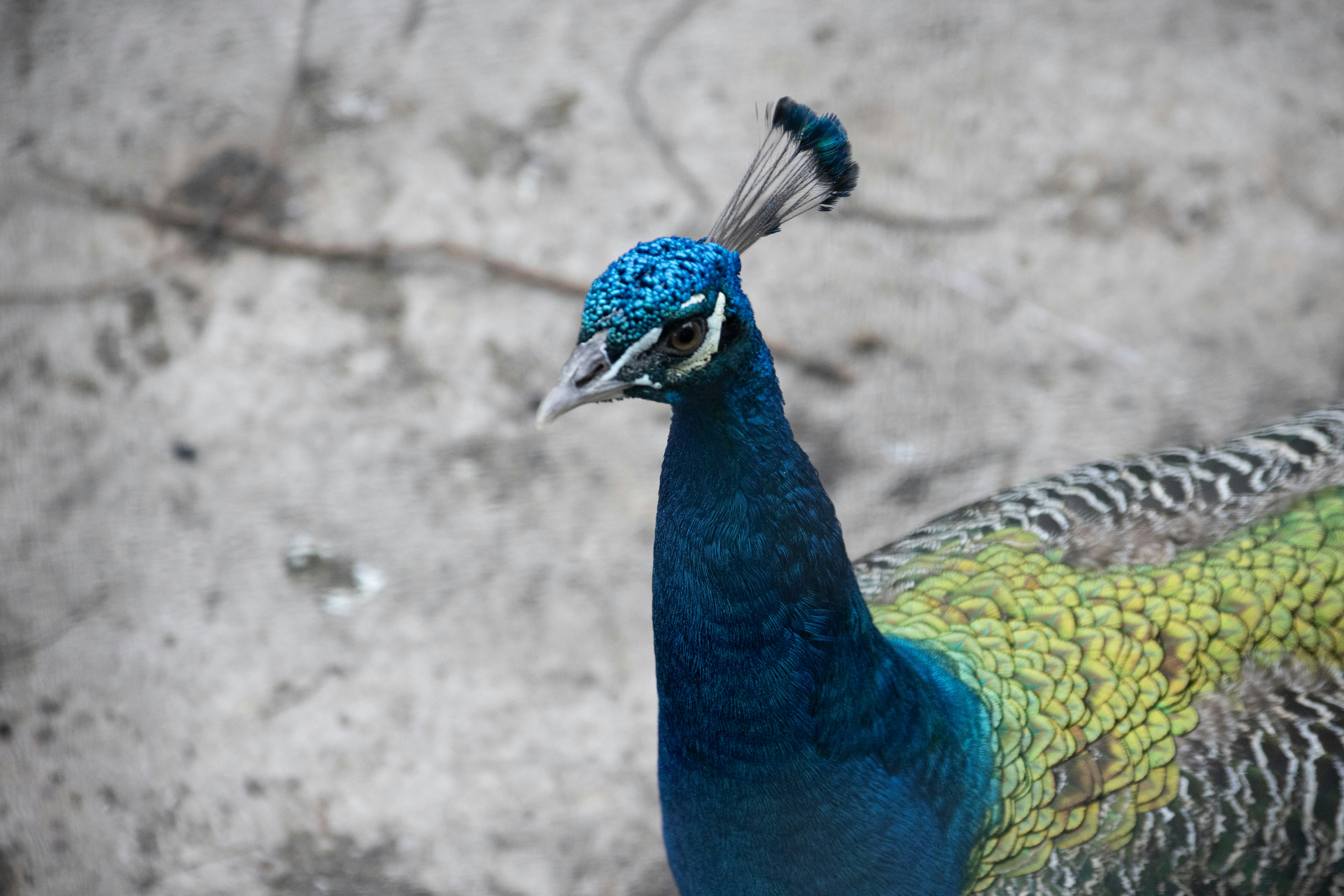 Photo by wu_hua_jiang