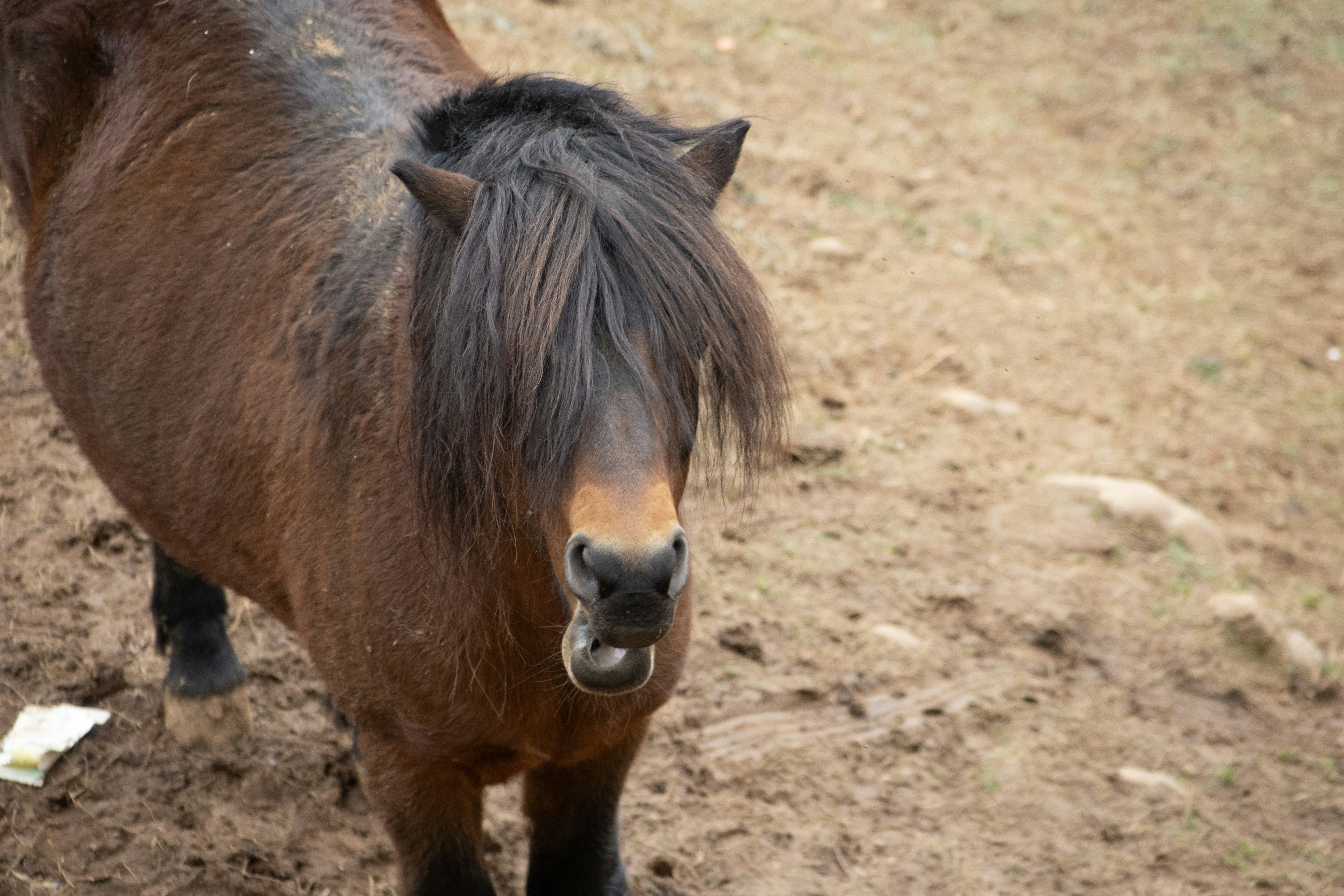 Photo by wu_hua_jiang