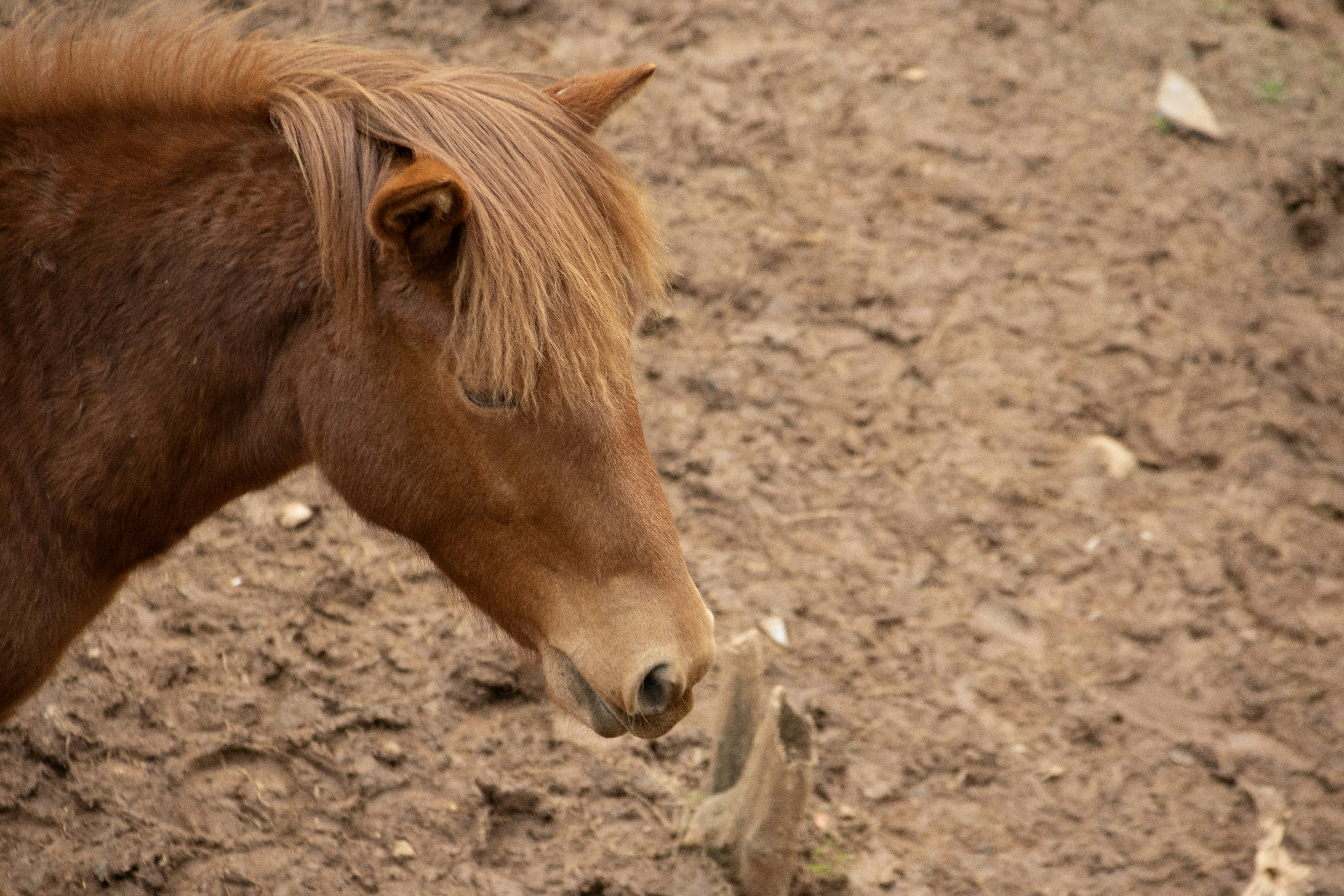 Photo by wu_hua_jiang