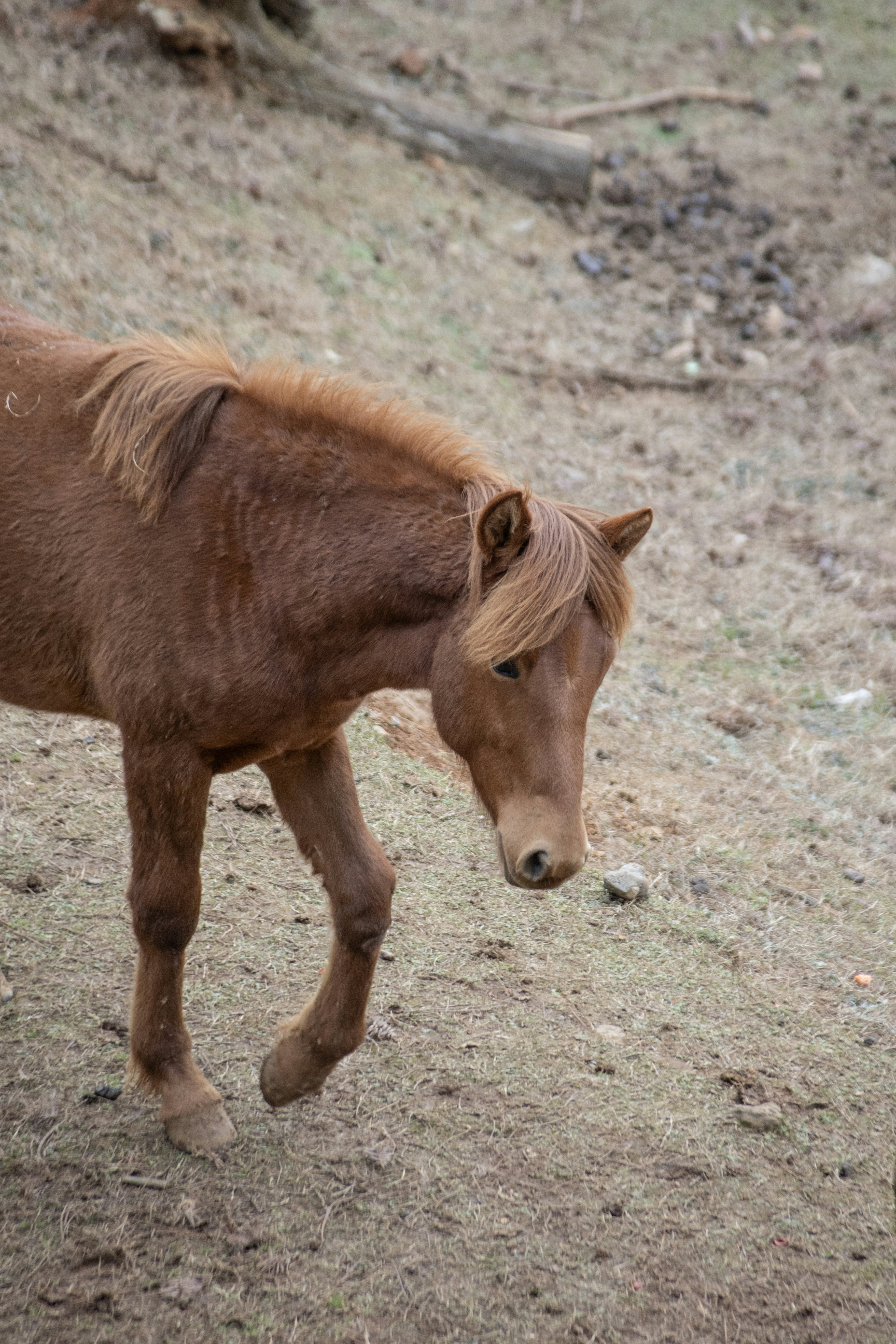 Photo by wu_hua_jiang